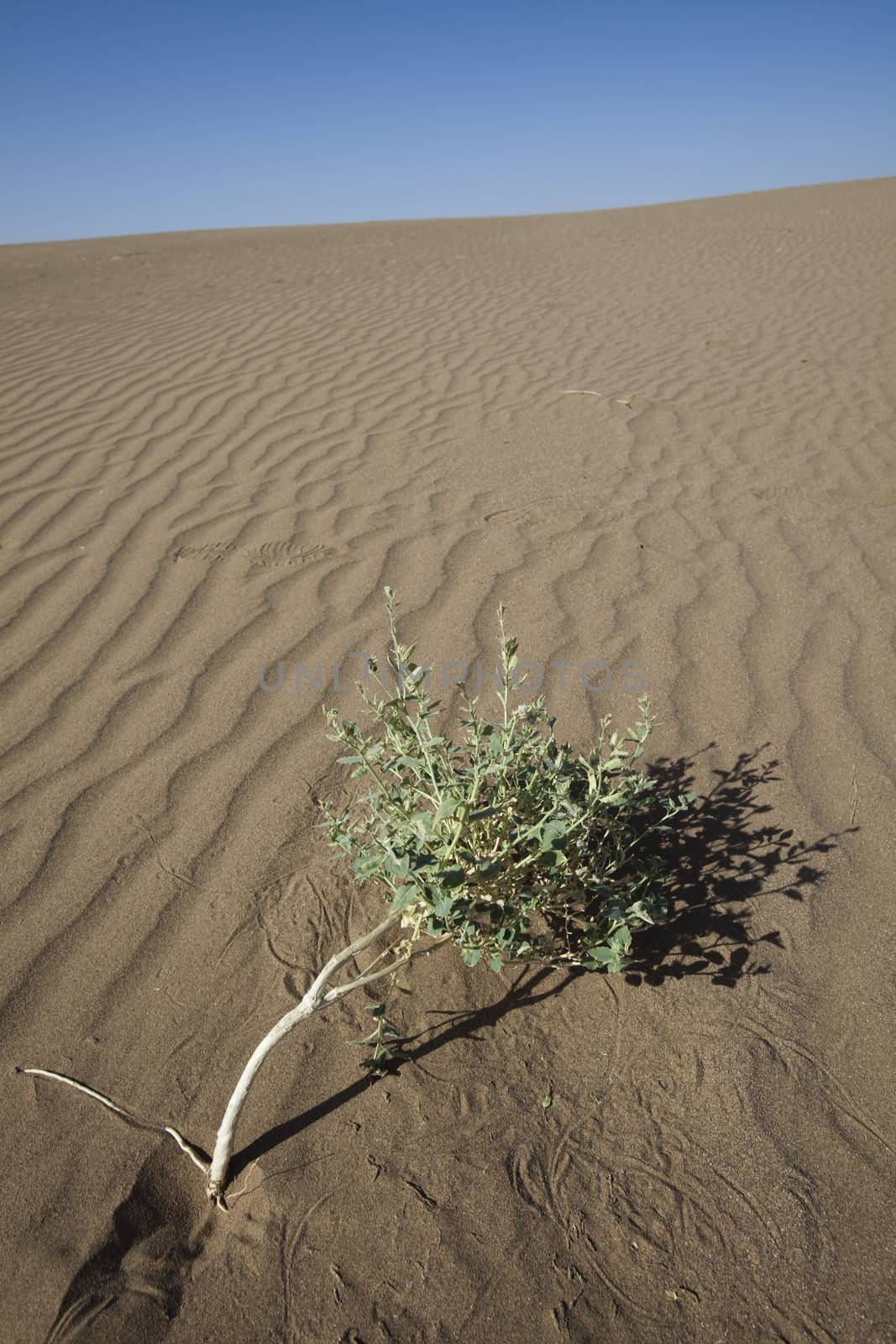 Sand background, wonderful saturated travel theme