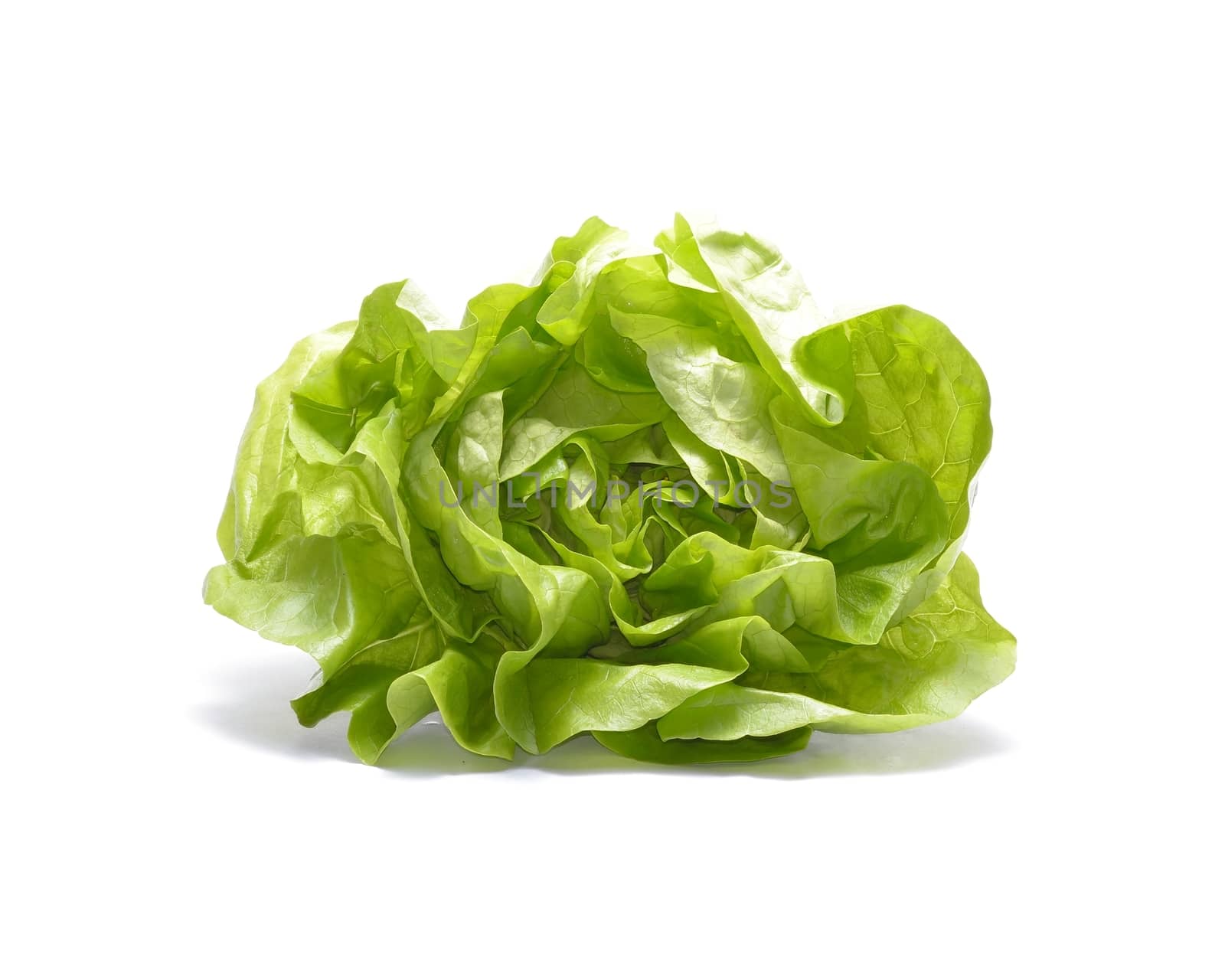 Head of lettuce isolated on white background by comet