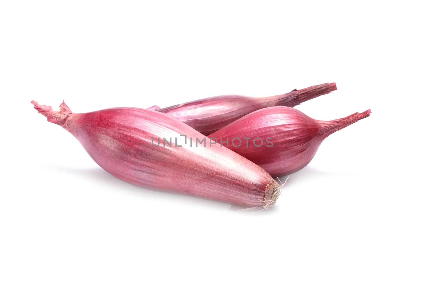 red onion isolated on white background by comet