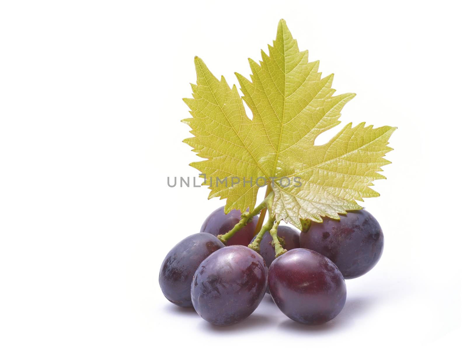 Red grapes with leaves isolated on white