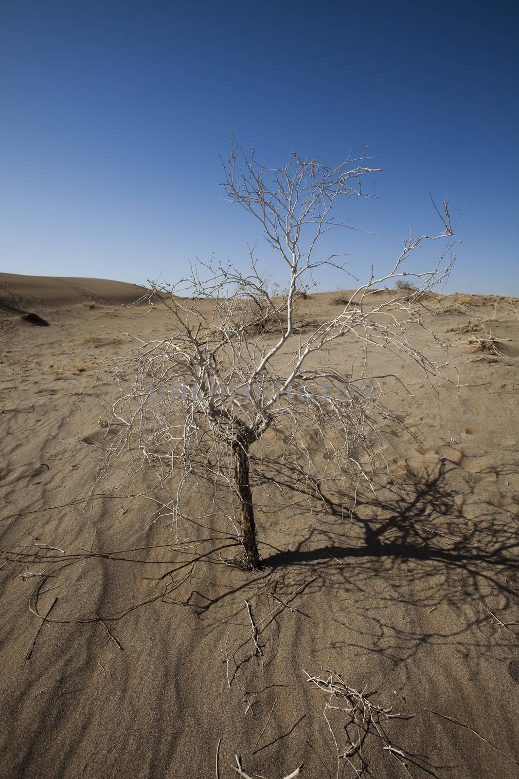 Landscapes in the desert, wonderful saturated travel theme