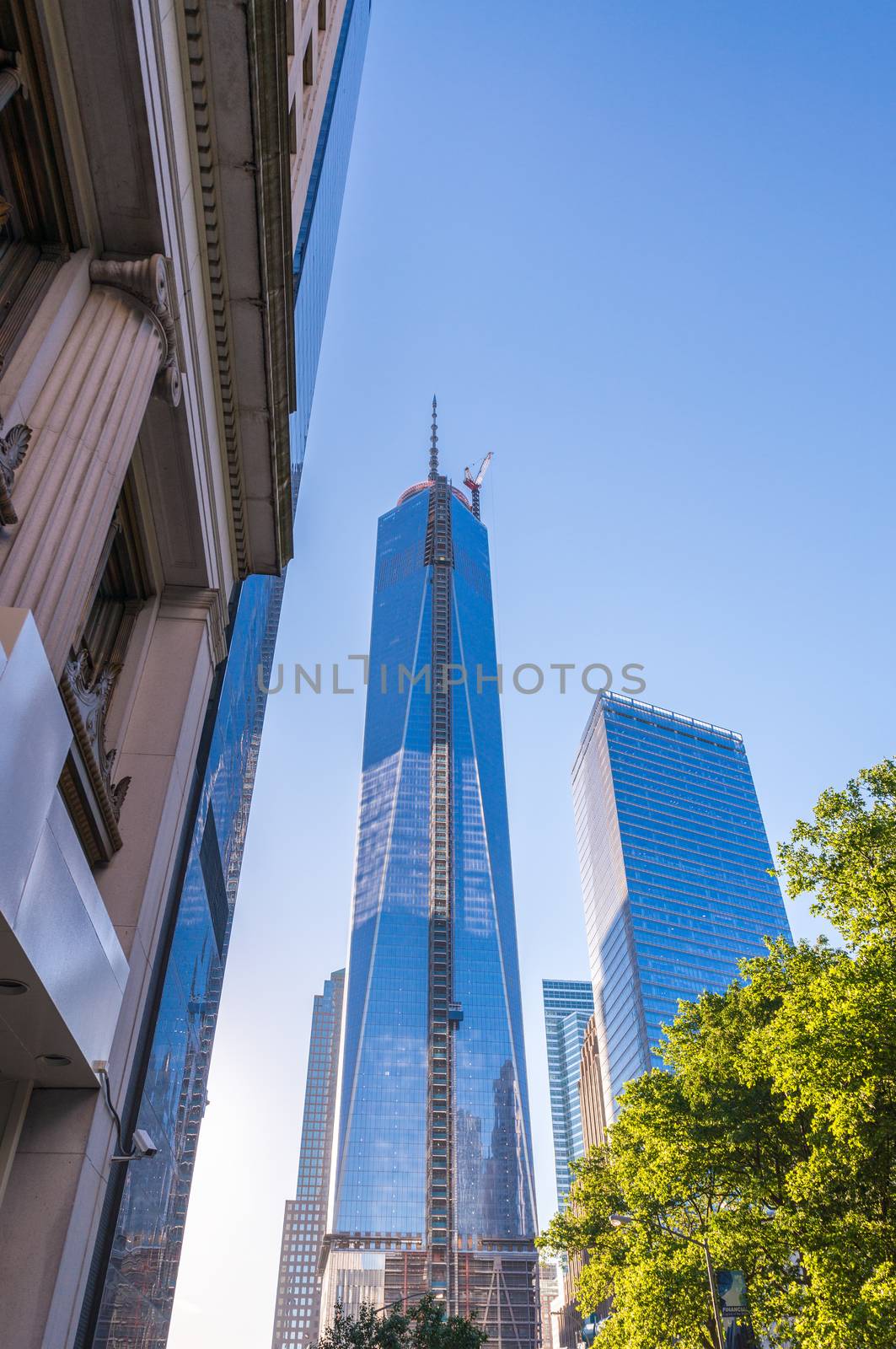 Buildings of Downtown Manhattan.