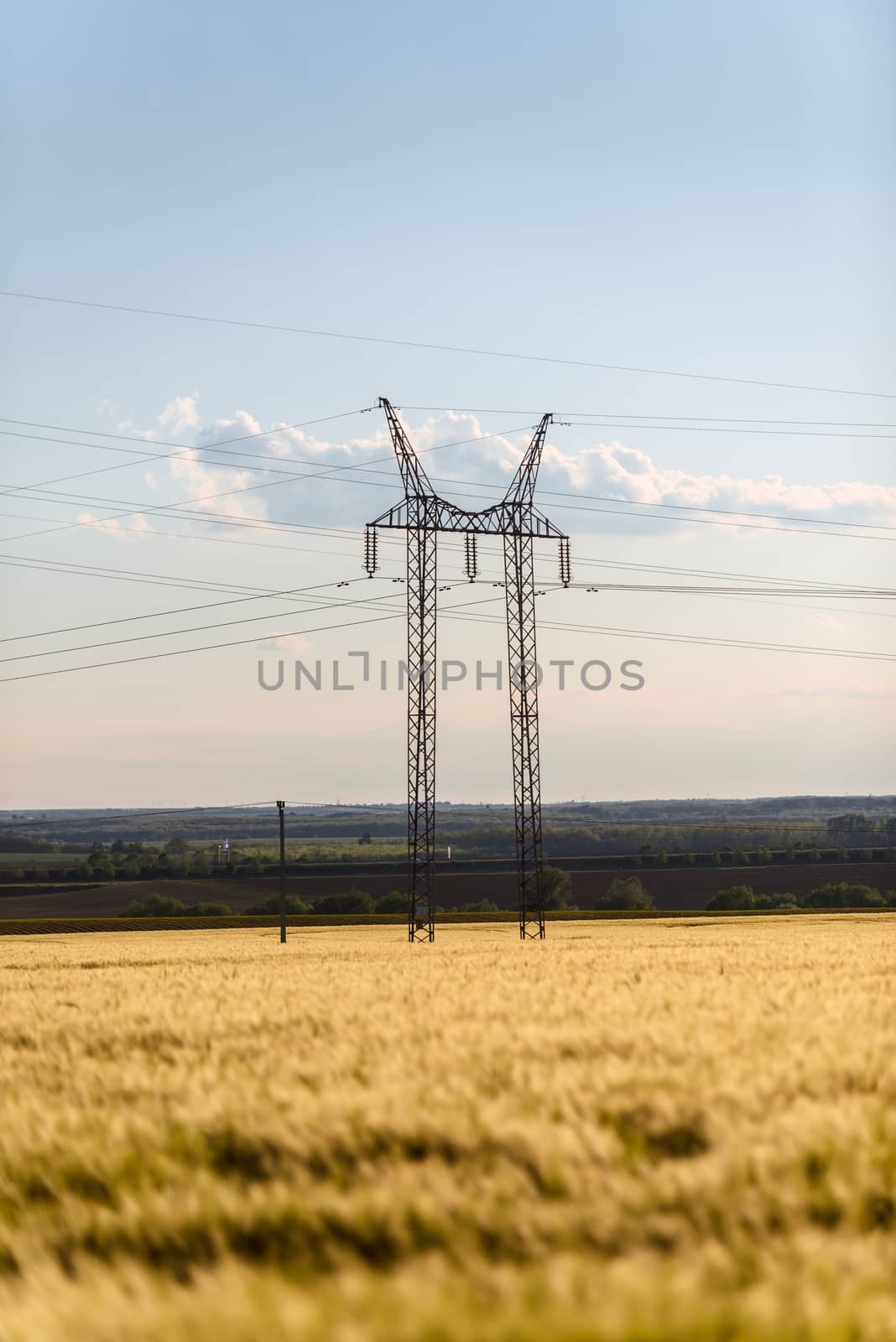 Large transmission tower with field by svedoliver