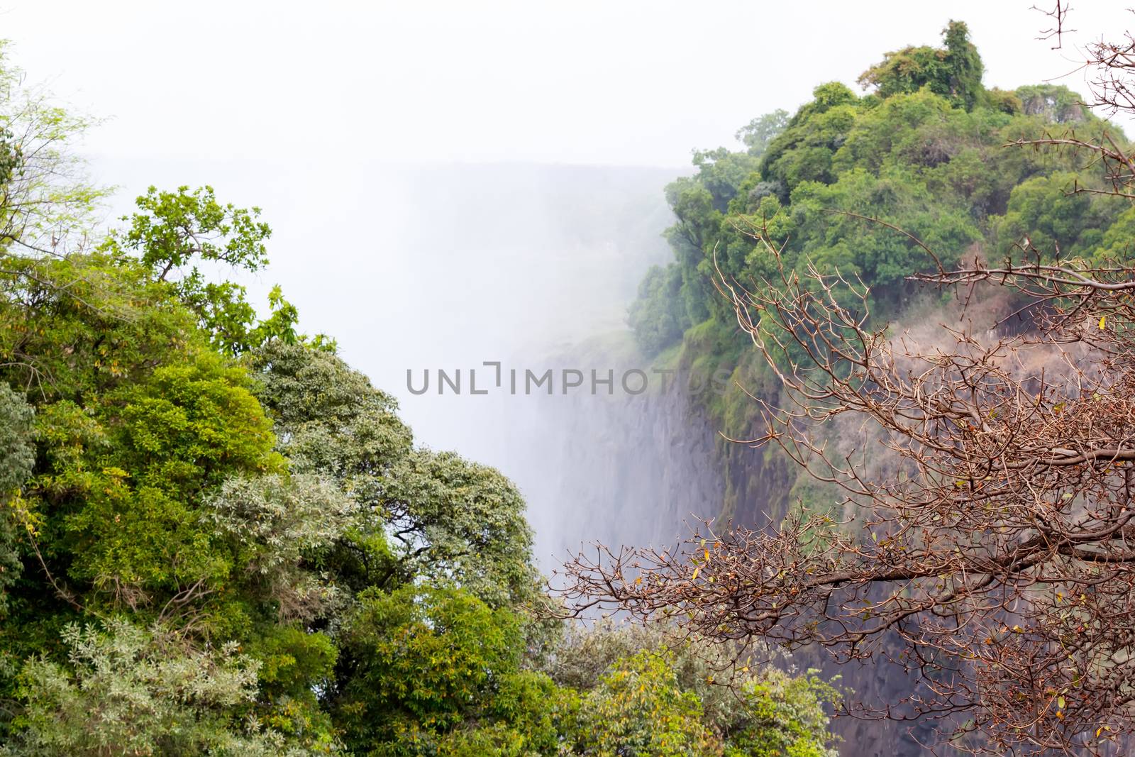 The Victoria falls is the largest curtain of water in the world (1708 meters wide). The falls and the surrounding area is the National Parks and World Heritage Site - Zambia, Zimbabwe 