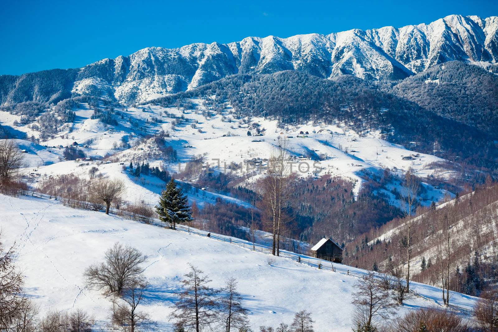 Typical scenic winter view from Bran Castle surroundings