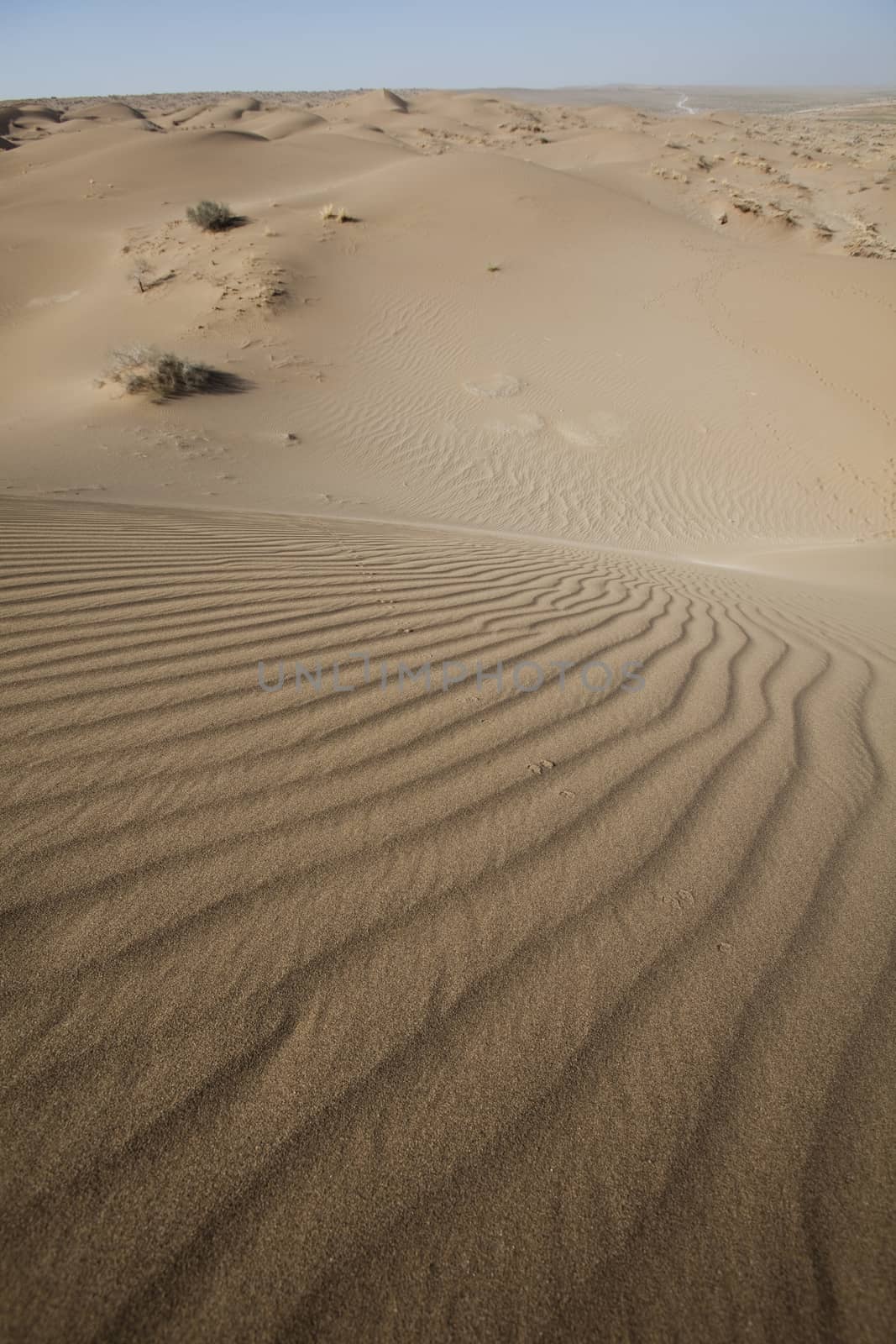 Desert dunes in Iran, wonderful saturated travel theme