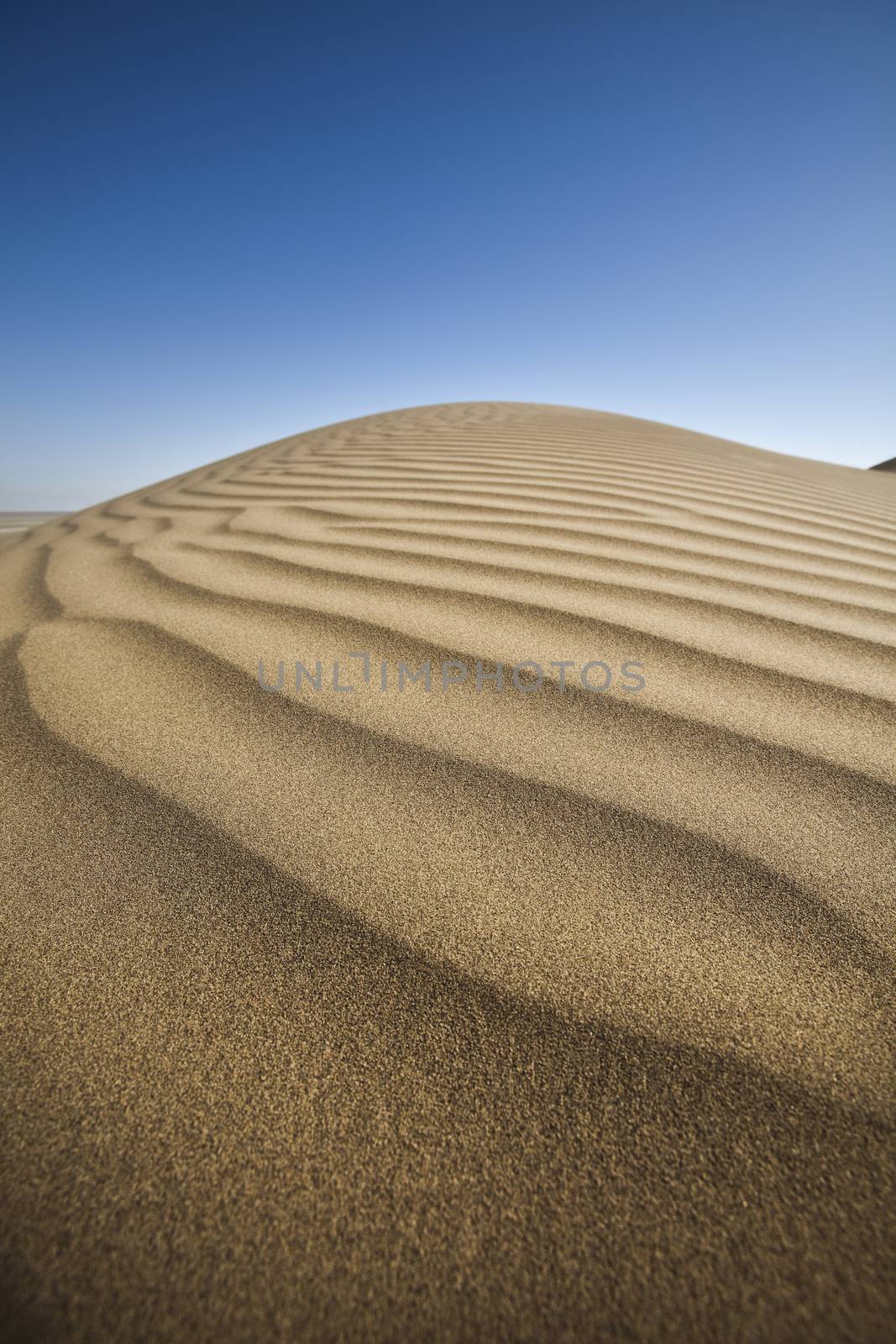 Desert dunes, wonderful saturated travel theme by JanPietruszka