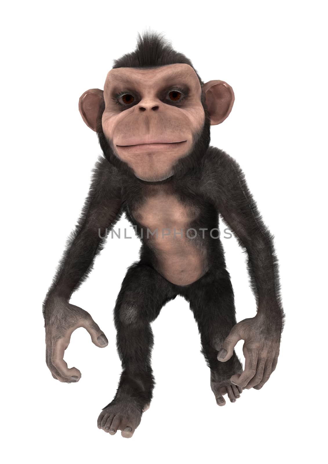 3D digital render of a little chimpanzee isolated on white background