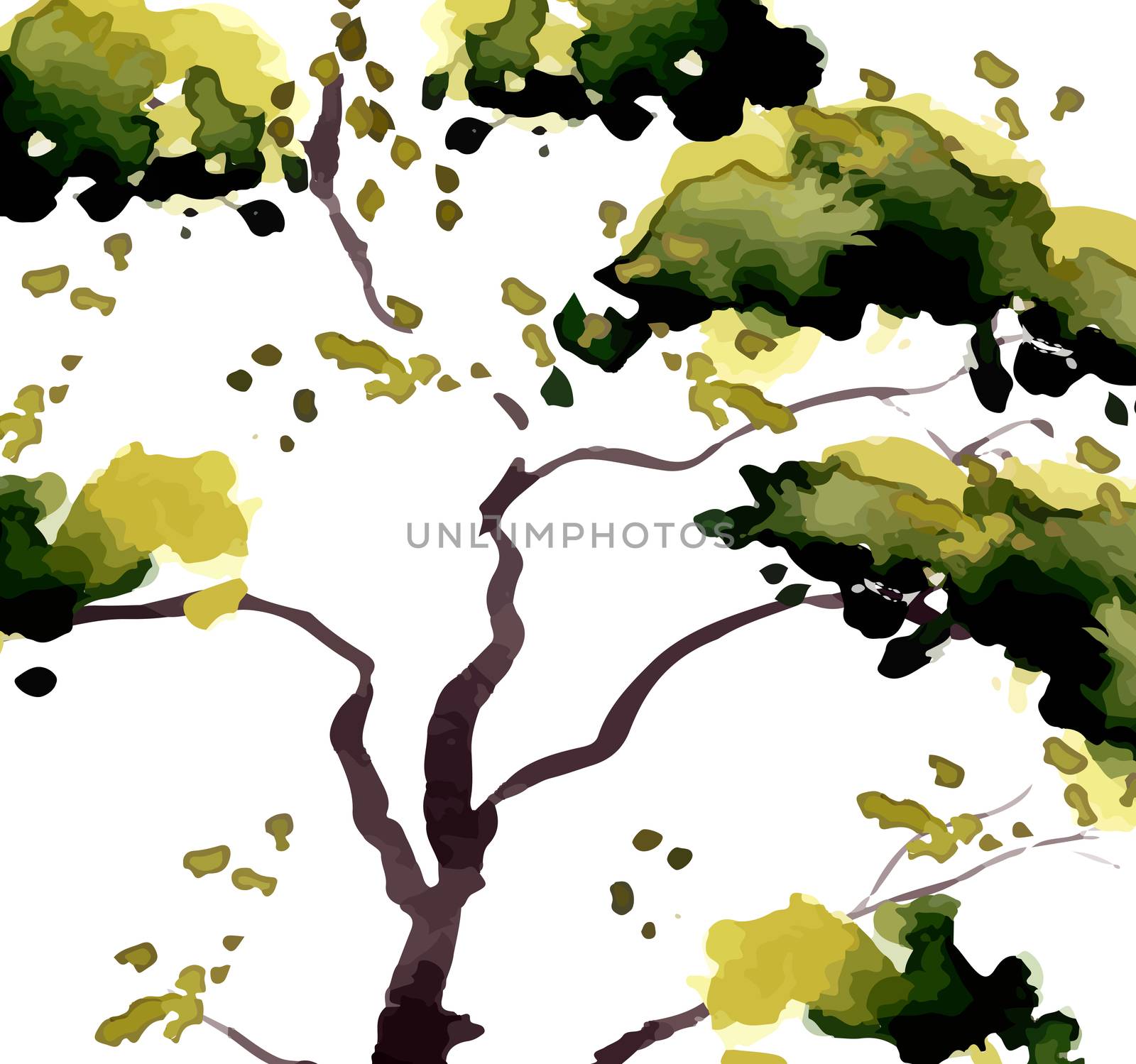 Illustration isolated tree with green leaves