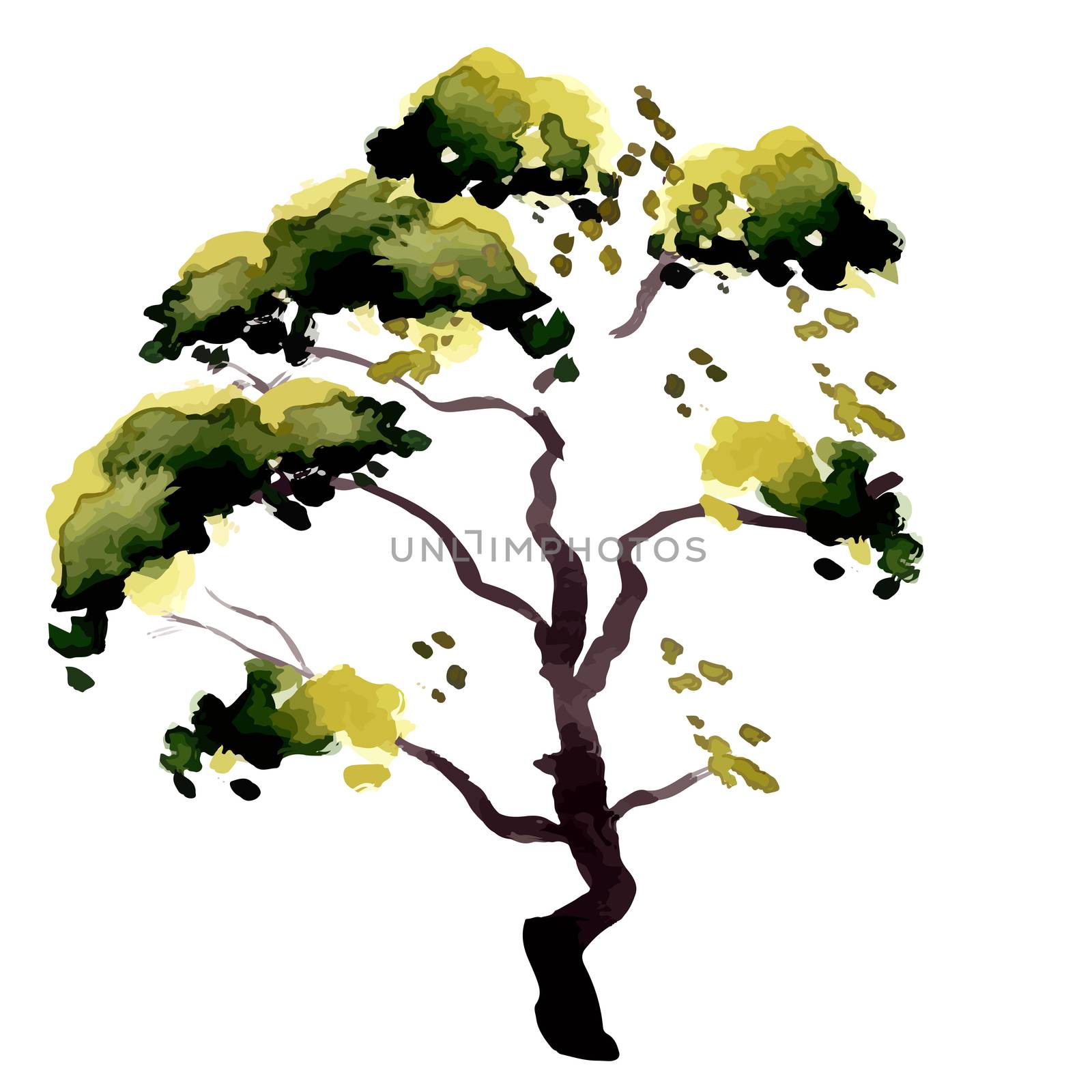 Illustration isolated tree  by Rasveta