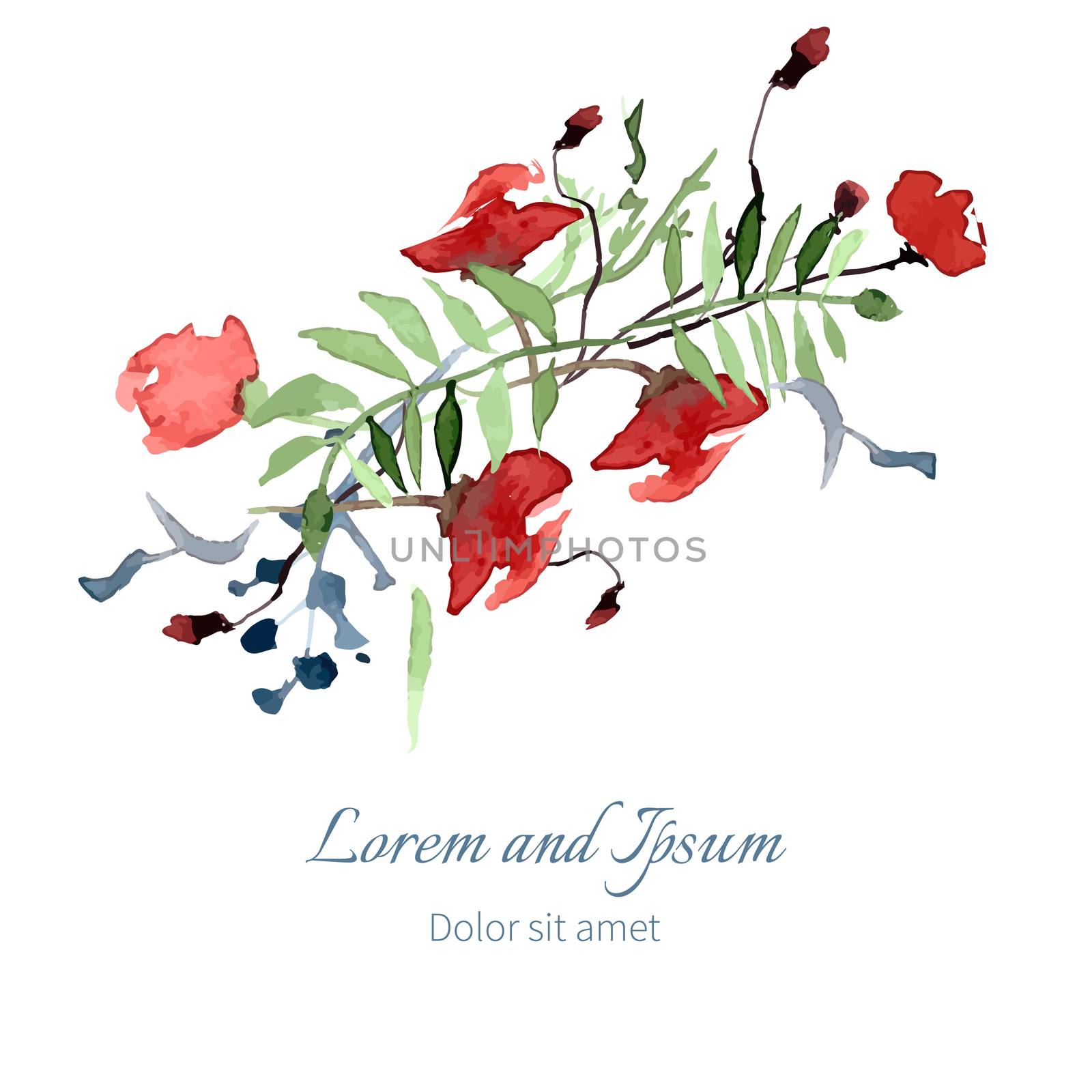 Illustration with flowers and leaves   by Rasveta