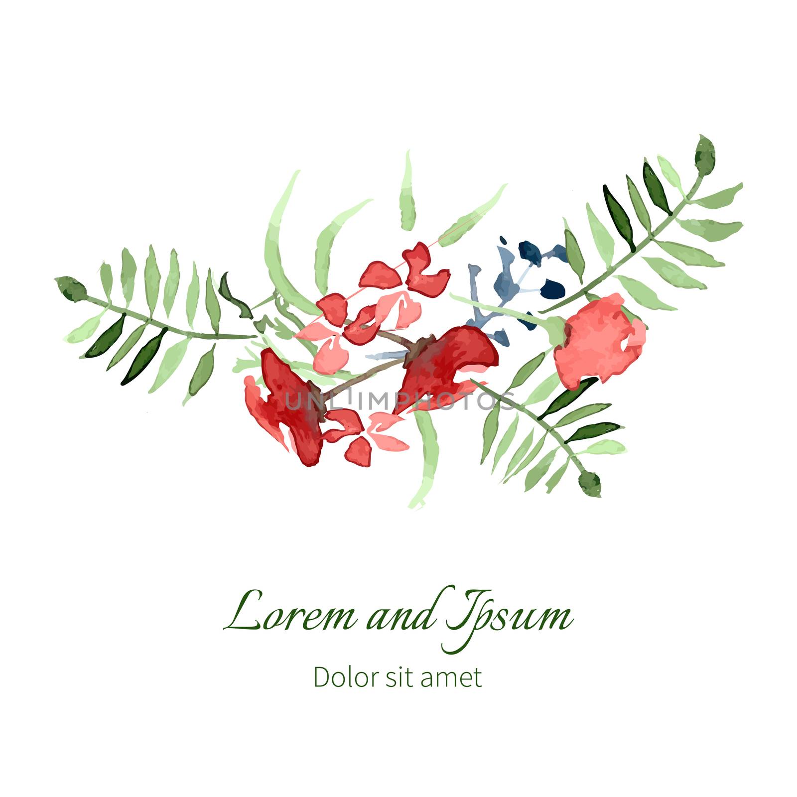 Illustration with flowers and leaves   by Rasveta
