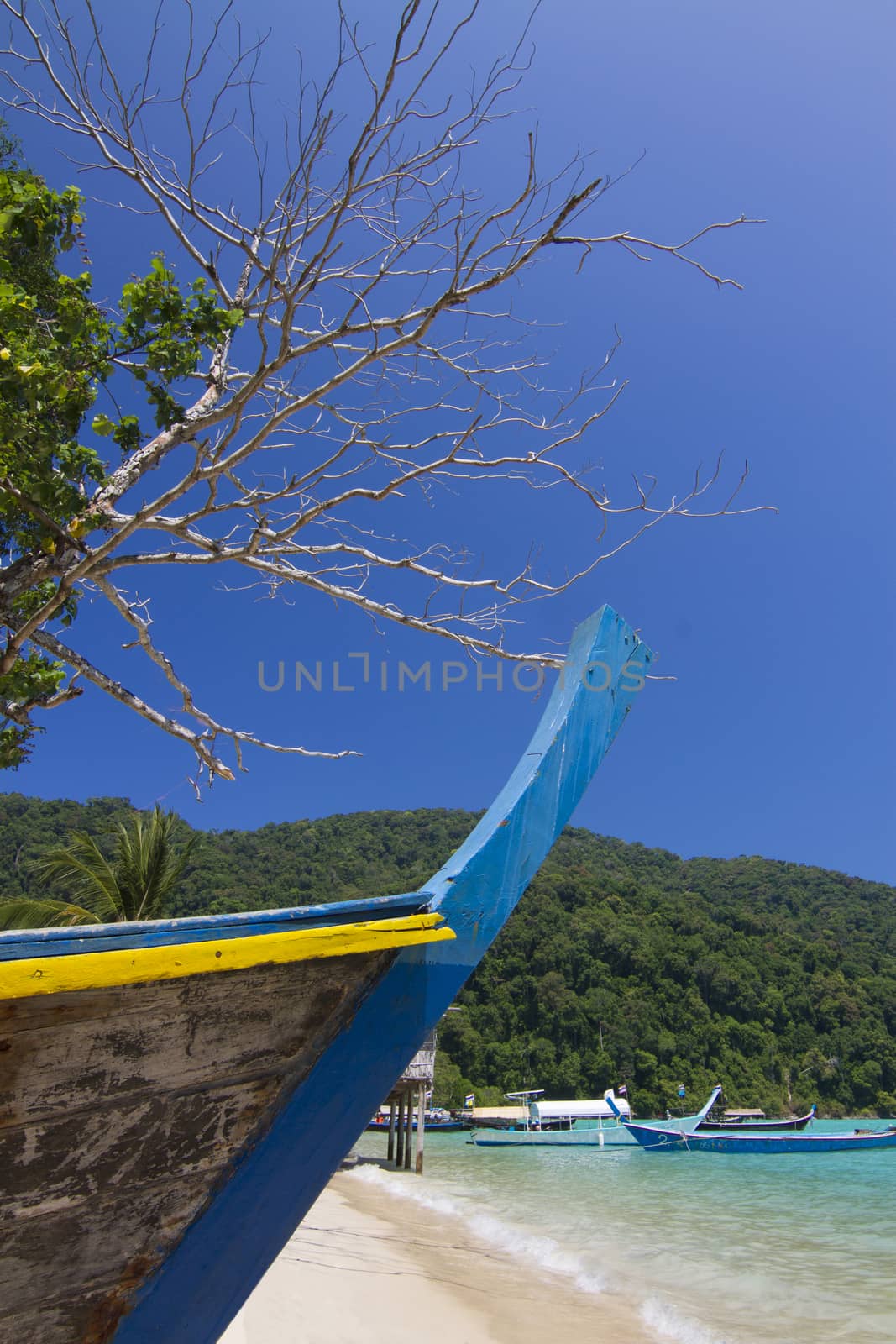 The boat of Mo Gan community in Surin Island