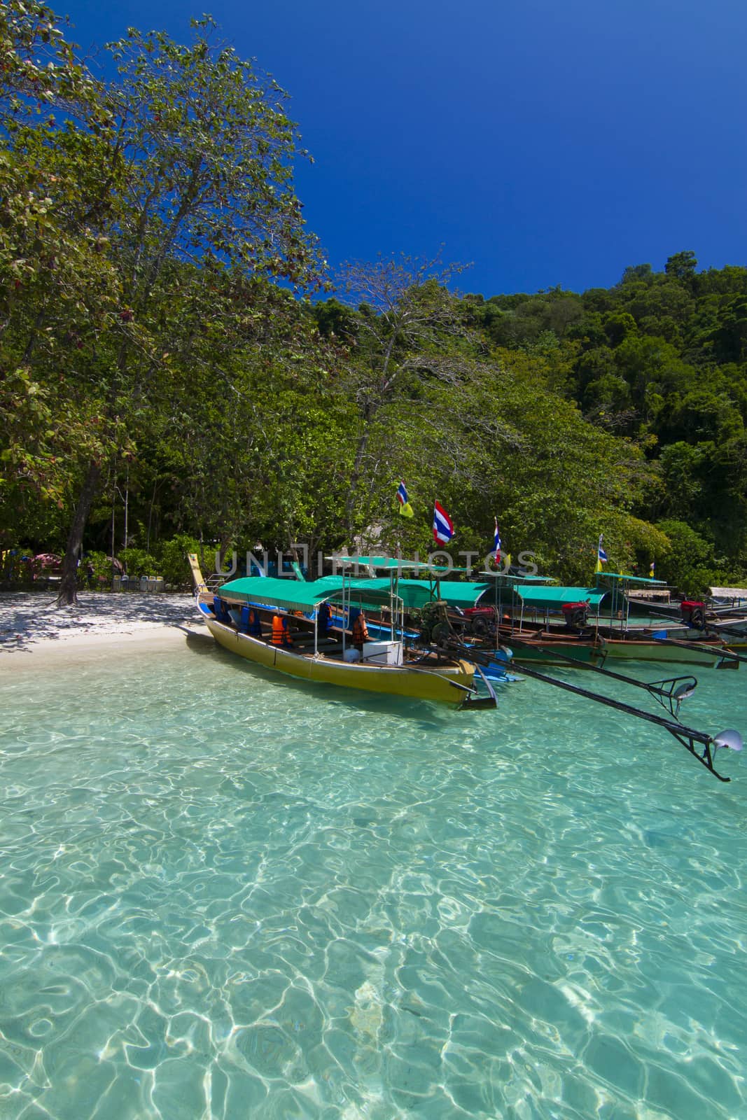 The long-tail boat at surin island, thailand