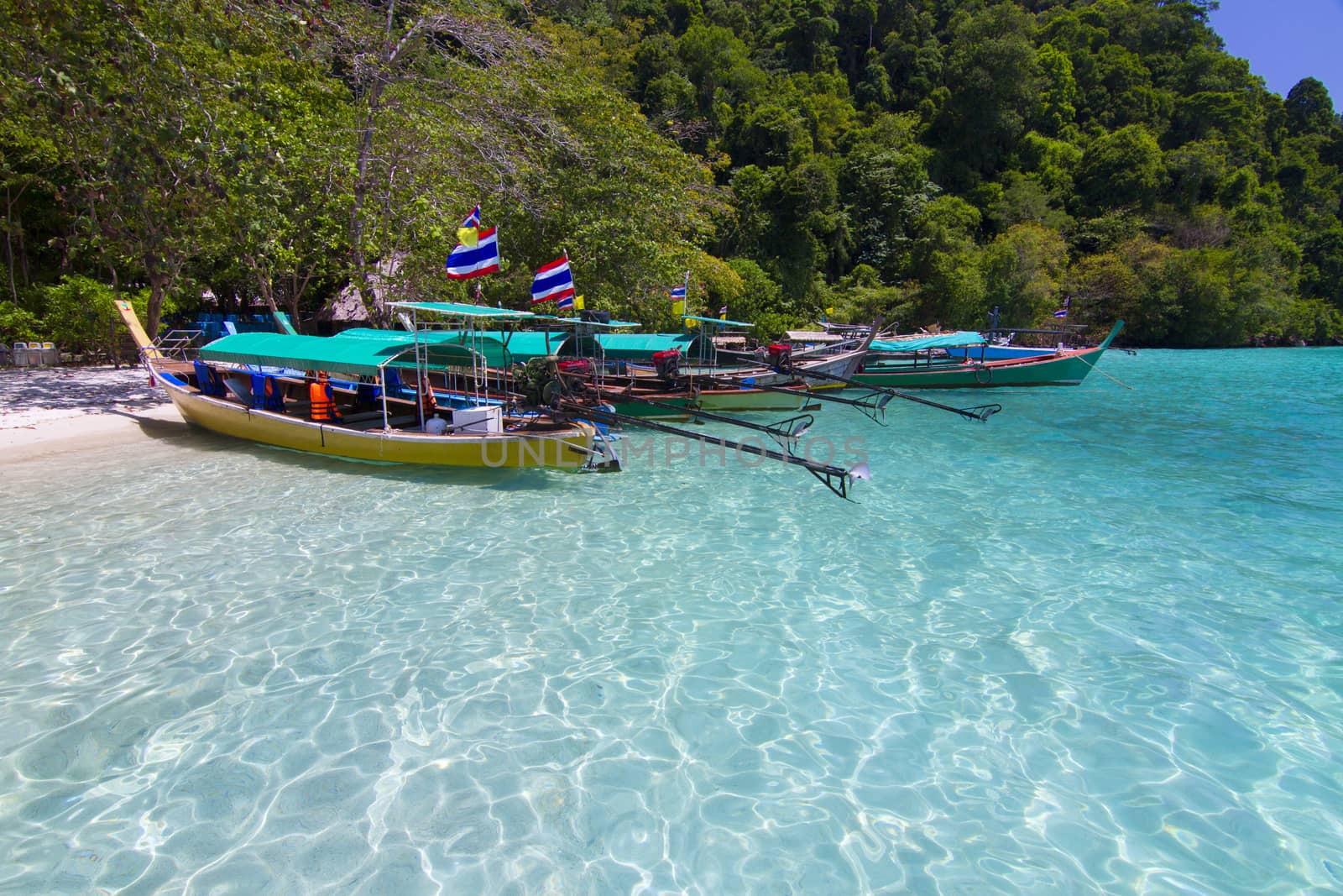 The long-tail boat at surin island, thailand