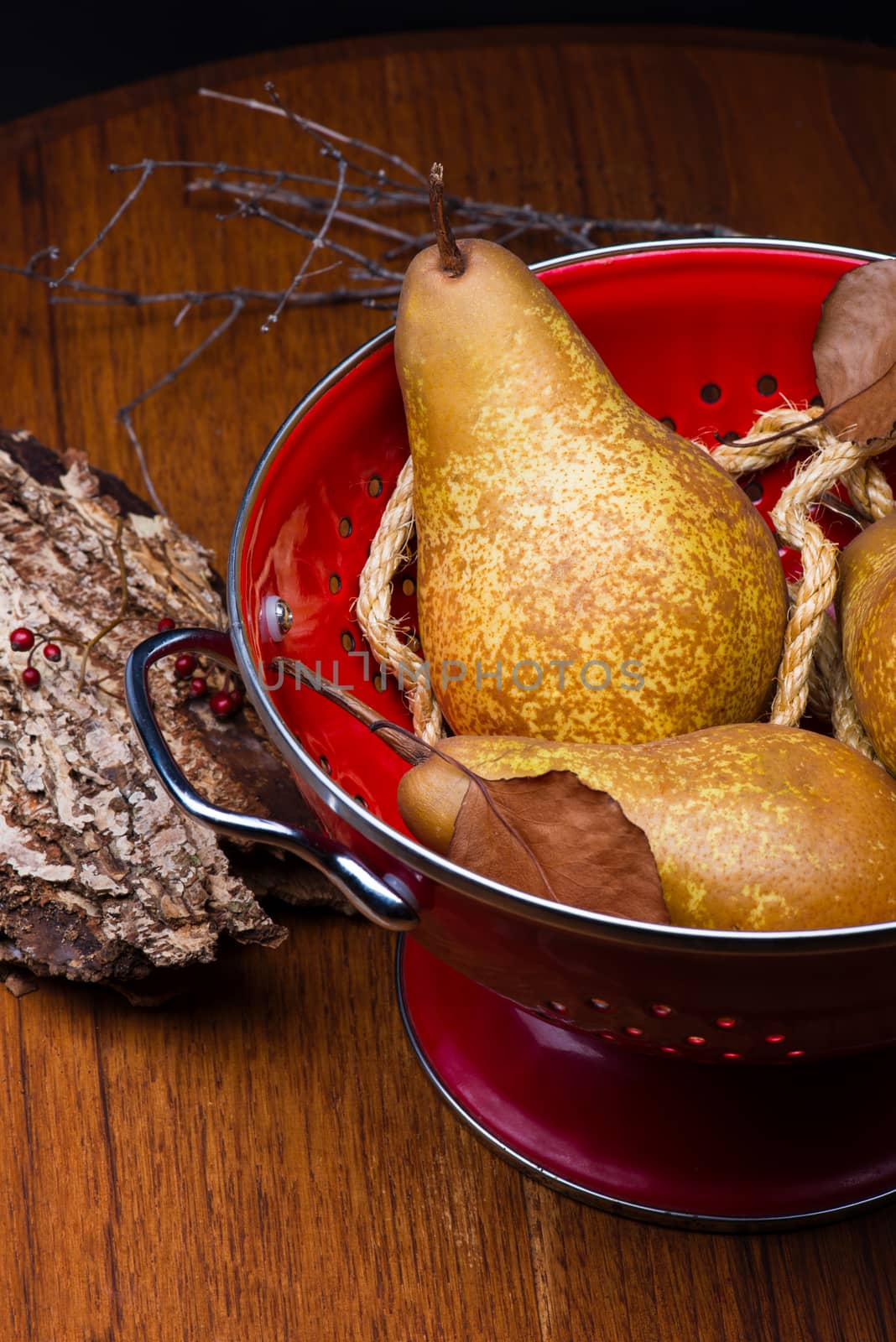 Two pears on a red colander with brown color wood background and ropes.