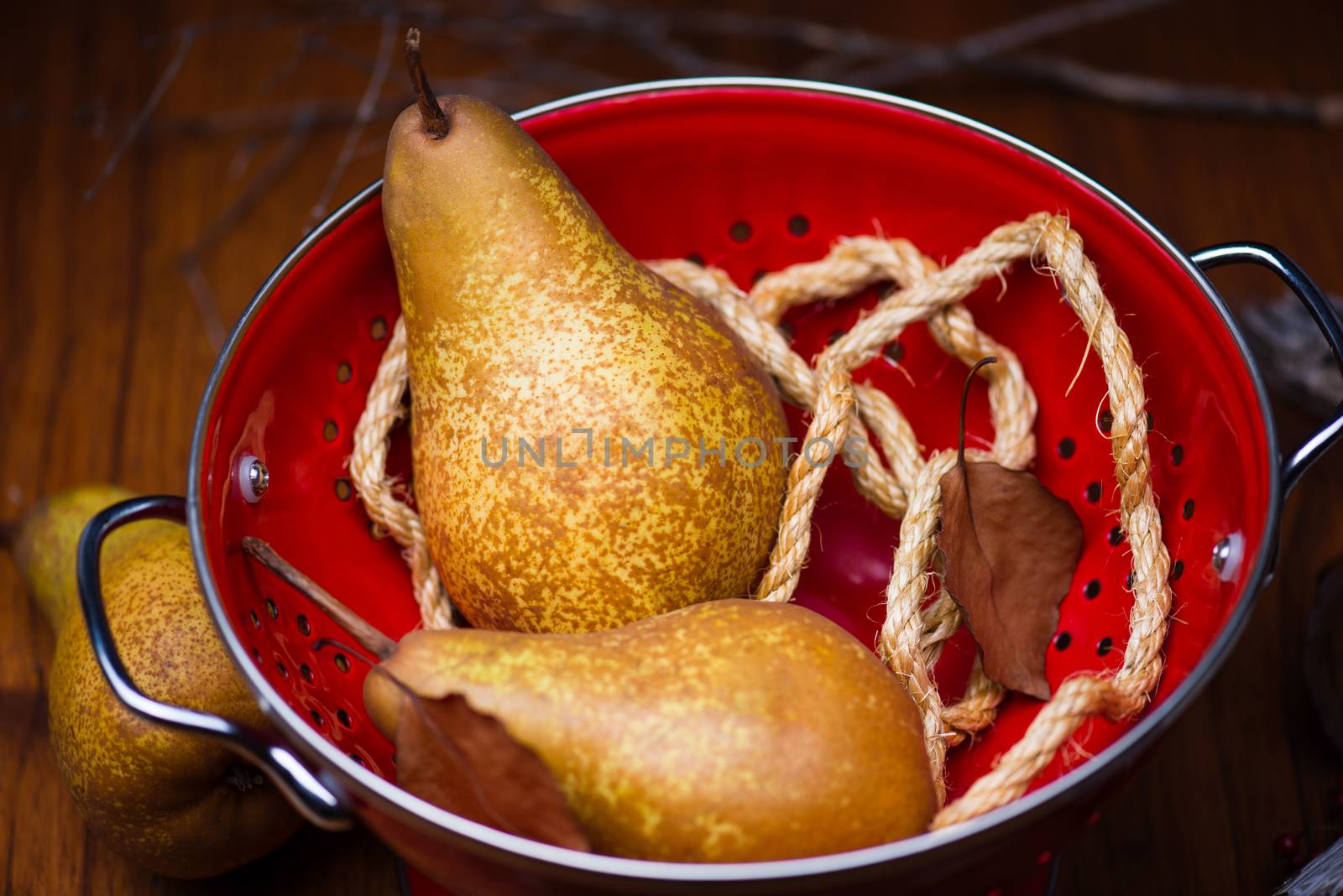 Two pears on a red colander with brown color wood background and ropes.