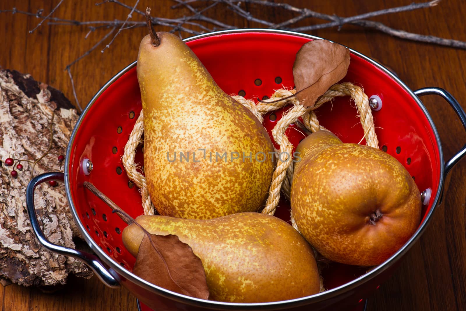 Two pears on a red colander with brown color wood background and ropes.