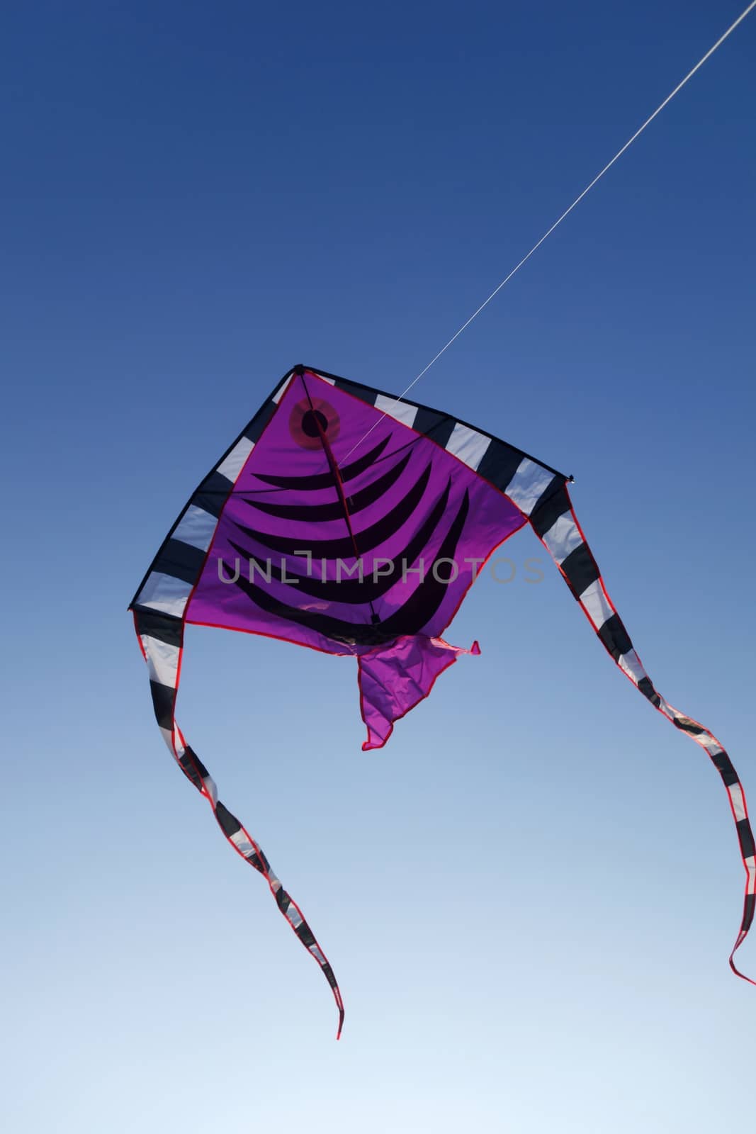 Colorful kite flying up in blue sky by tang90246