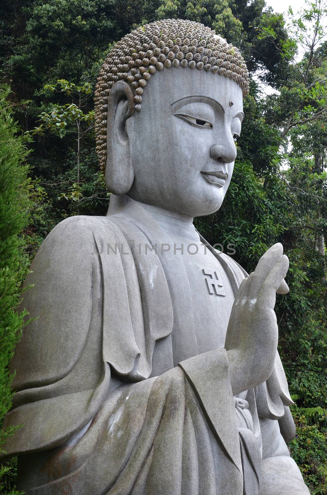 Buddha sculpture by tang90246