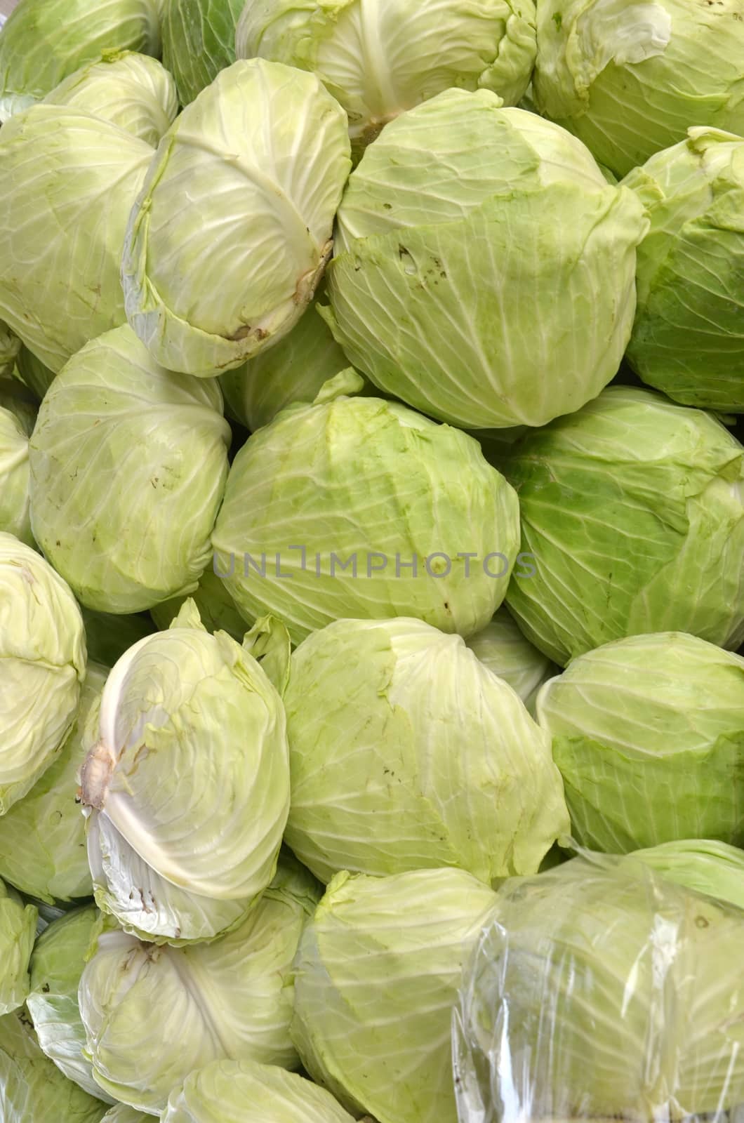 Cabbage on sale in the market by tang90246