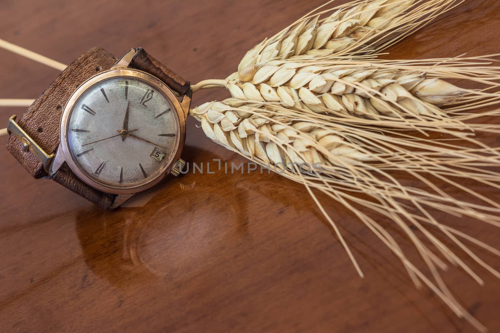 old wrist watch on a wooden base