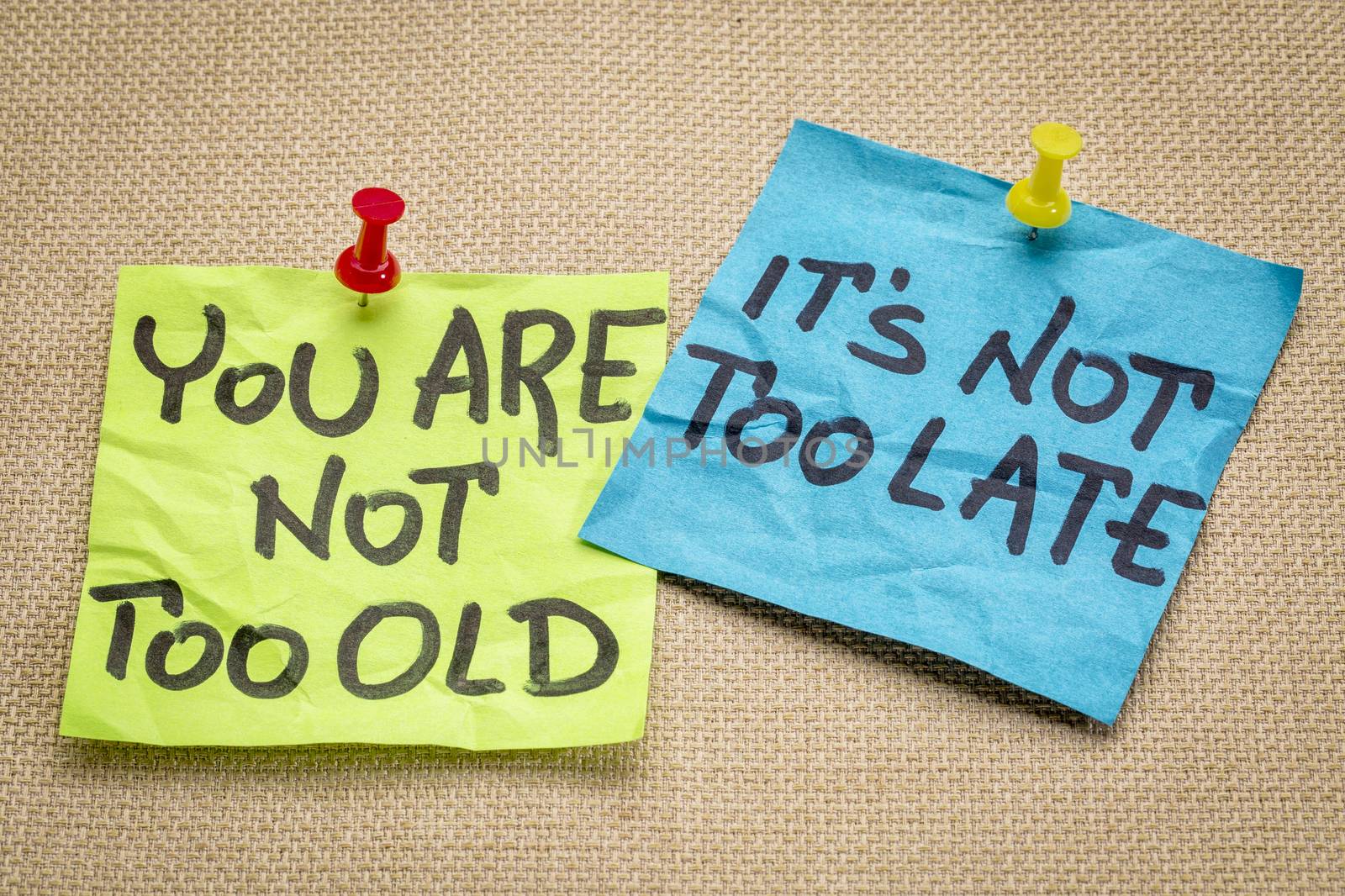 You are not too old, it is not too late. Motivational advice or reminder on colorful sticky notes.