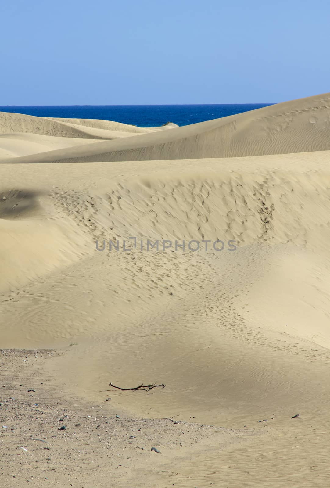 Spain. Canary Islands. Gran Canaria island. Dunes of Maspalomas