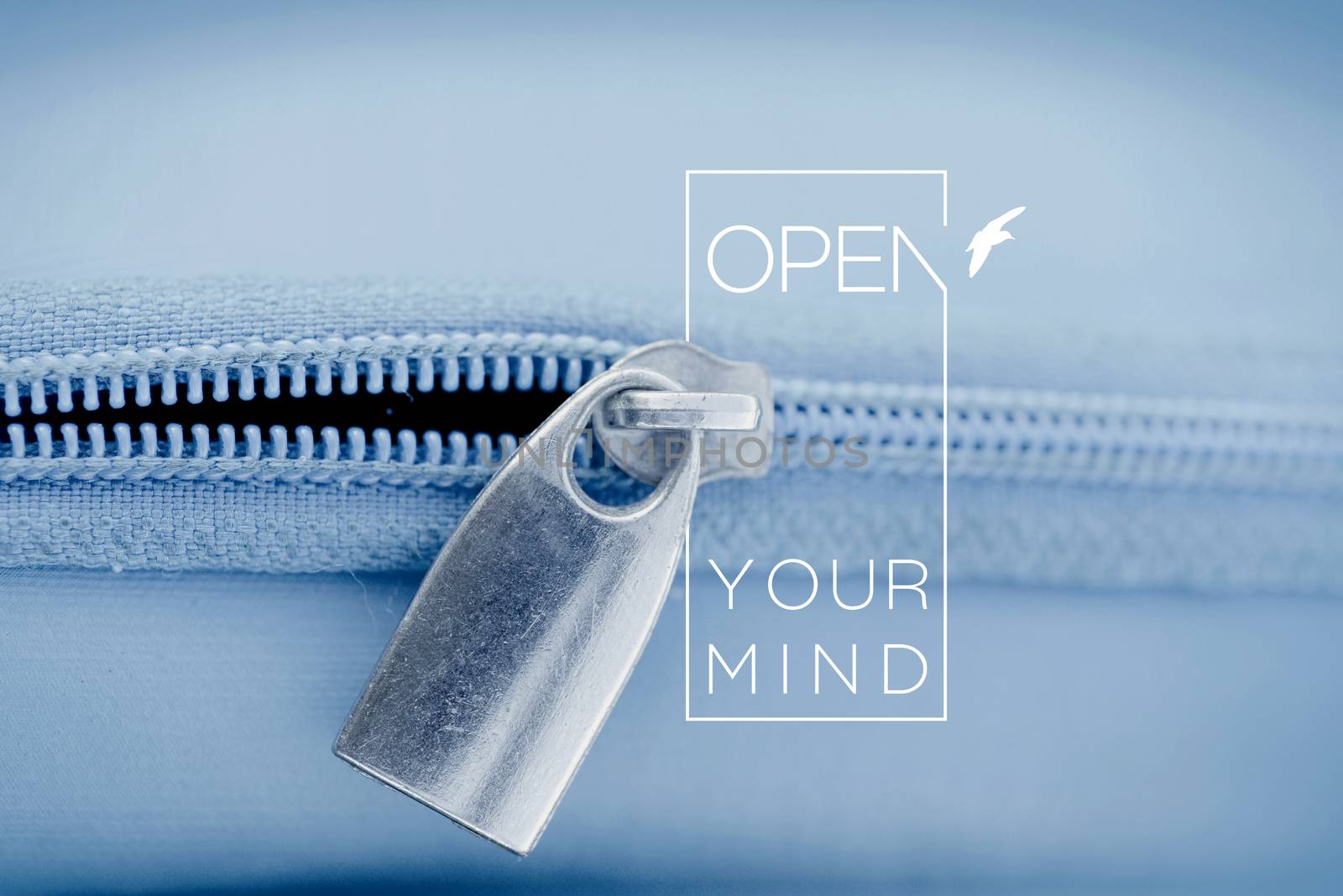 Open mind quote concept macro zipper background by cienpies