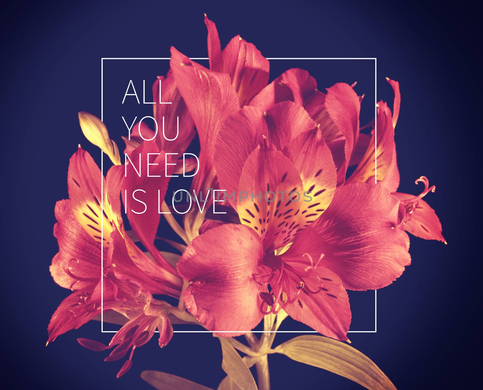 All you need is love inspiring motivation quote with vintage soft light natural flower bouquet background ideal for valentines day and wedding card. 