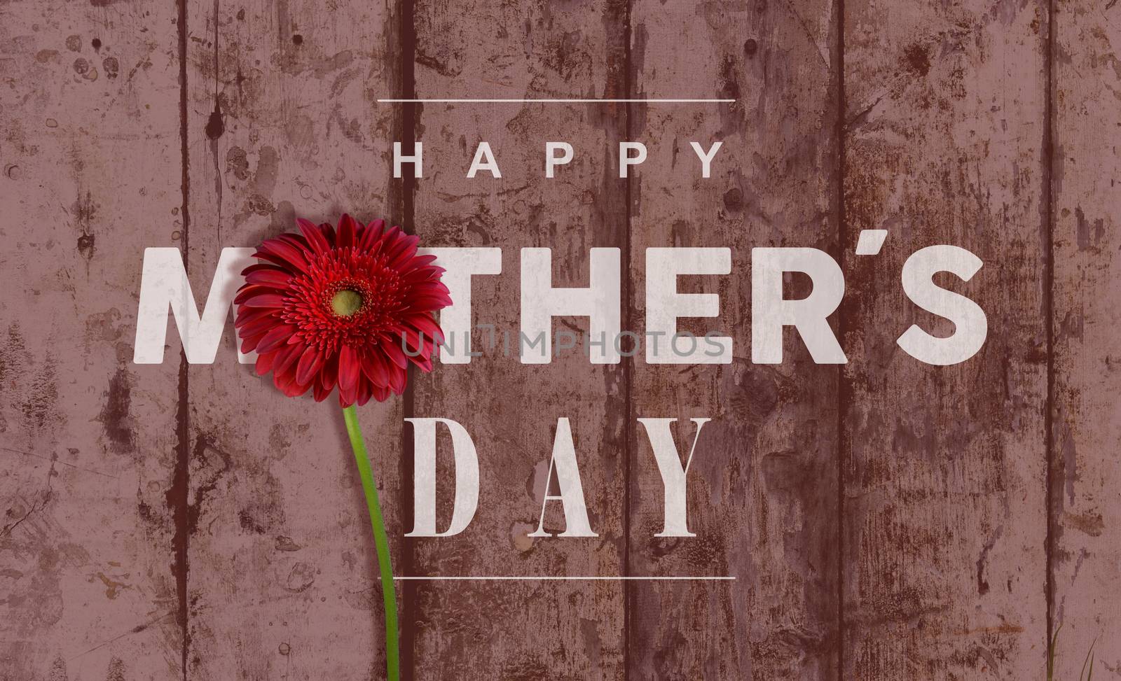 Happy Mother day vintage retro wood background with macro close up red flower ideal for greeting card and poster design.