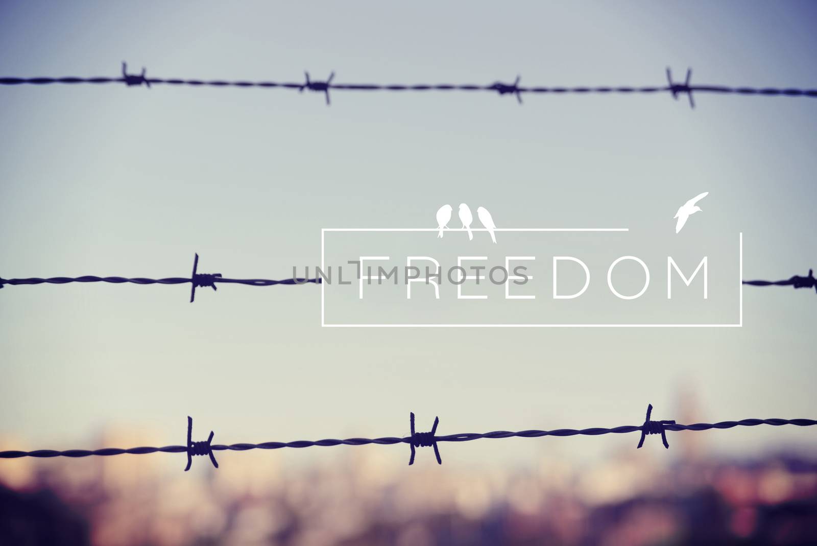Freedom quote concept barbed wire background by cienpies