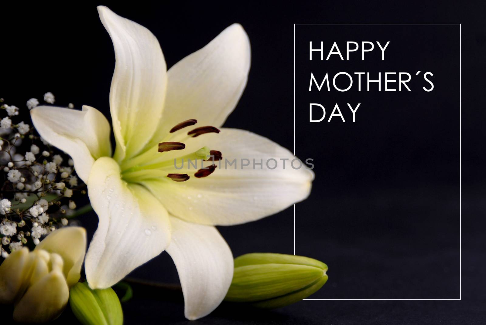 Happy Mothers day gift card by cienpies
