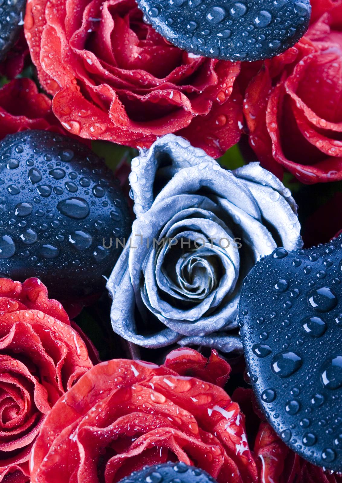 Romantic flowers, wonderful springtime vivid theme by JanPietruszka