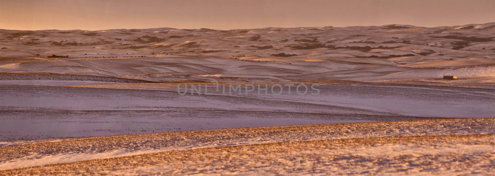 Prairie Landscape in winter by pictureguy