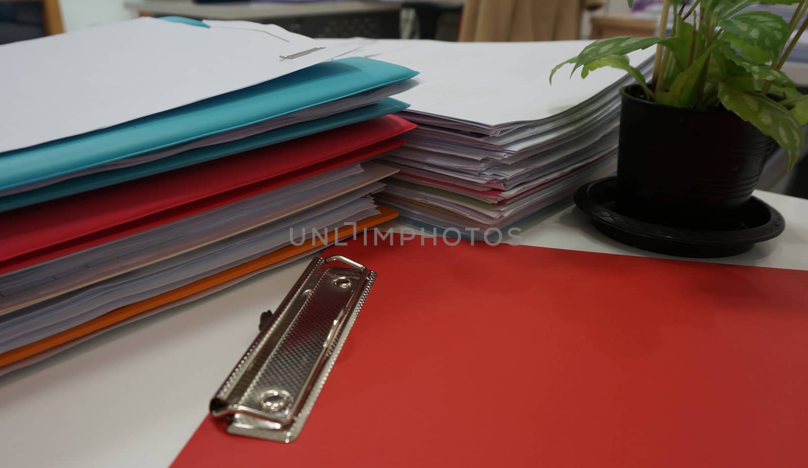 Clipboard and document in office by ninun