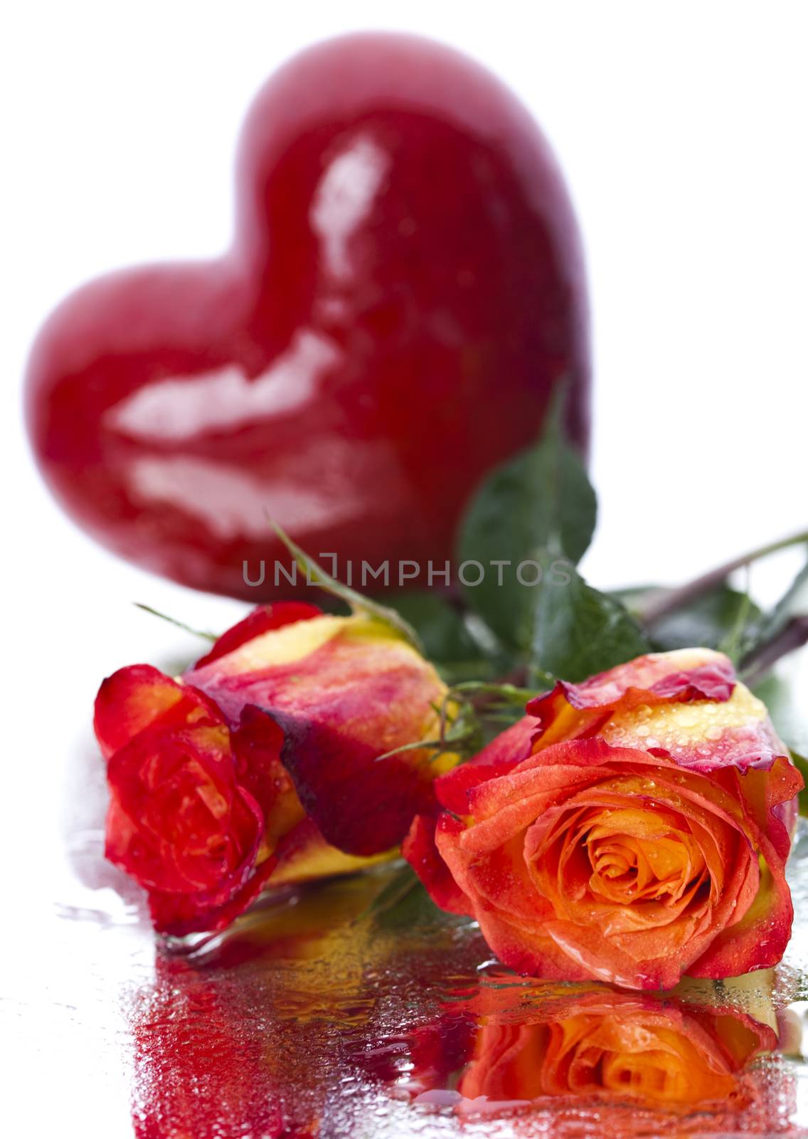 Valentine's day and heart, romantic bright tone theme by JanPietruszka