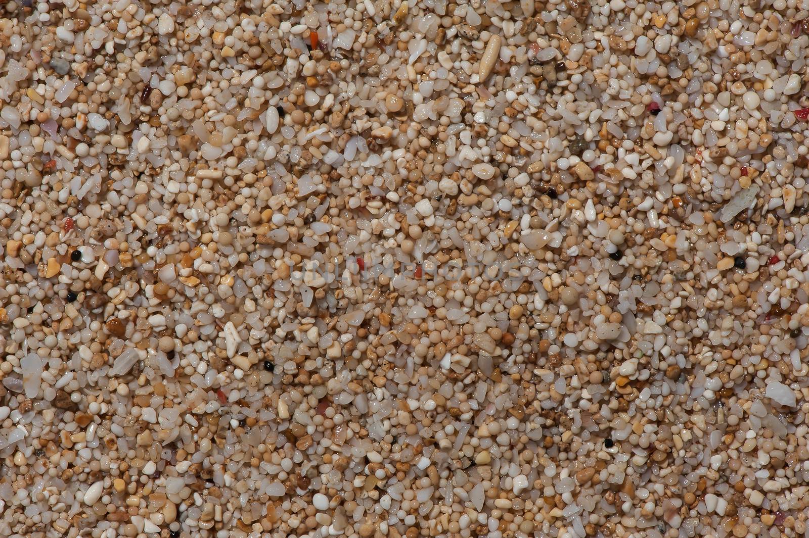 Seaside sand that with close-up view turns out to be a coral and shell flinders processed by the ocean. It creates the conceptual depiction of plurality, multiplicity, complexity and uniqueness. Uluwatu beach, Bali, Indonesia.
