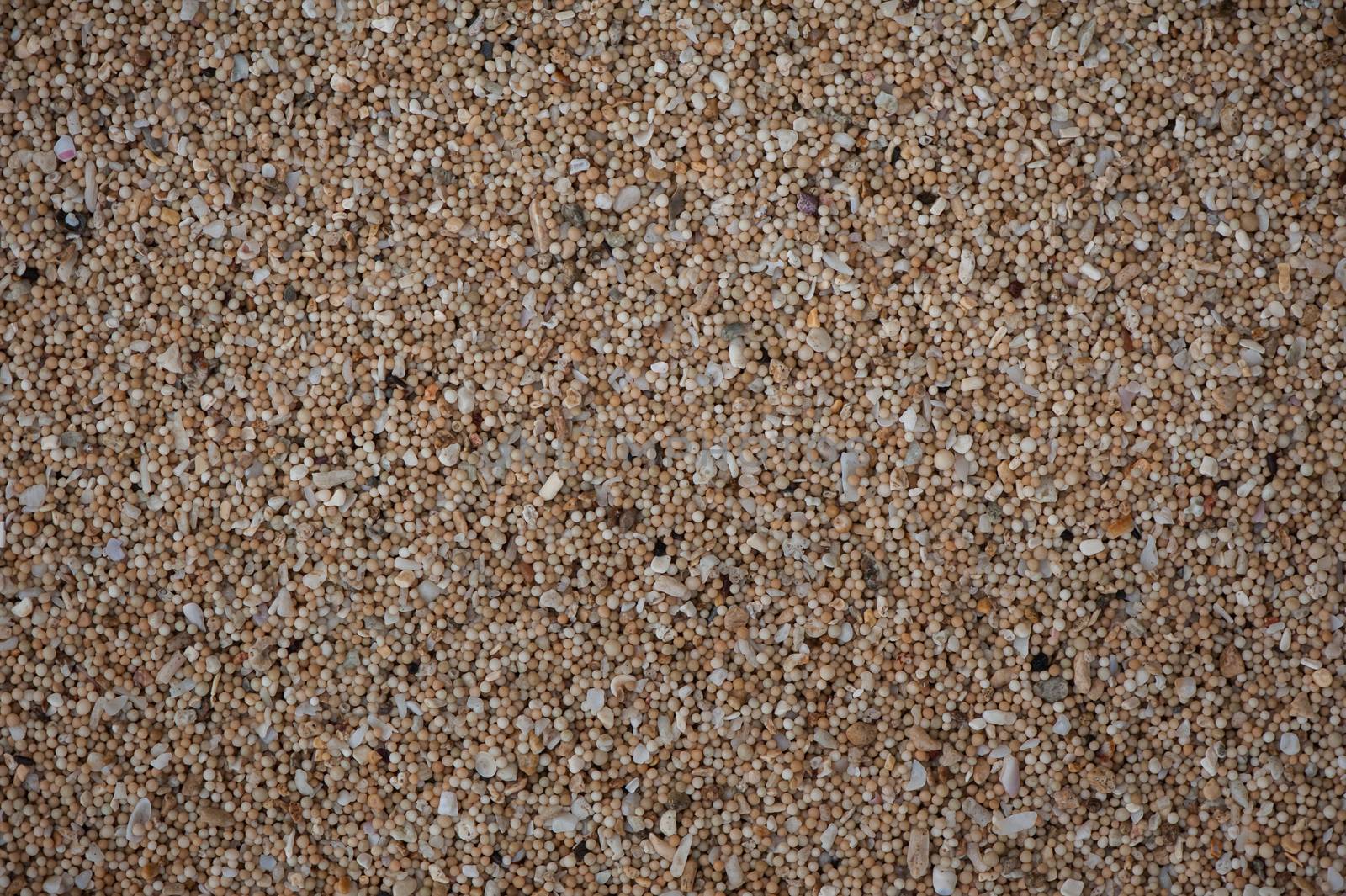 Seaside sand that with close-up view turns out to be a coral debris processed by the ocean, formed into tiny balls. Together with the broken shells it creates the conceptual depiction of plurality, multiplicity and complexity. Uluwatu beach, Bali, Indonesia.