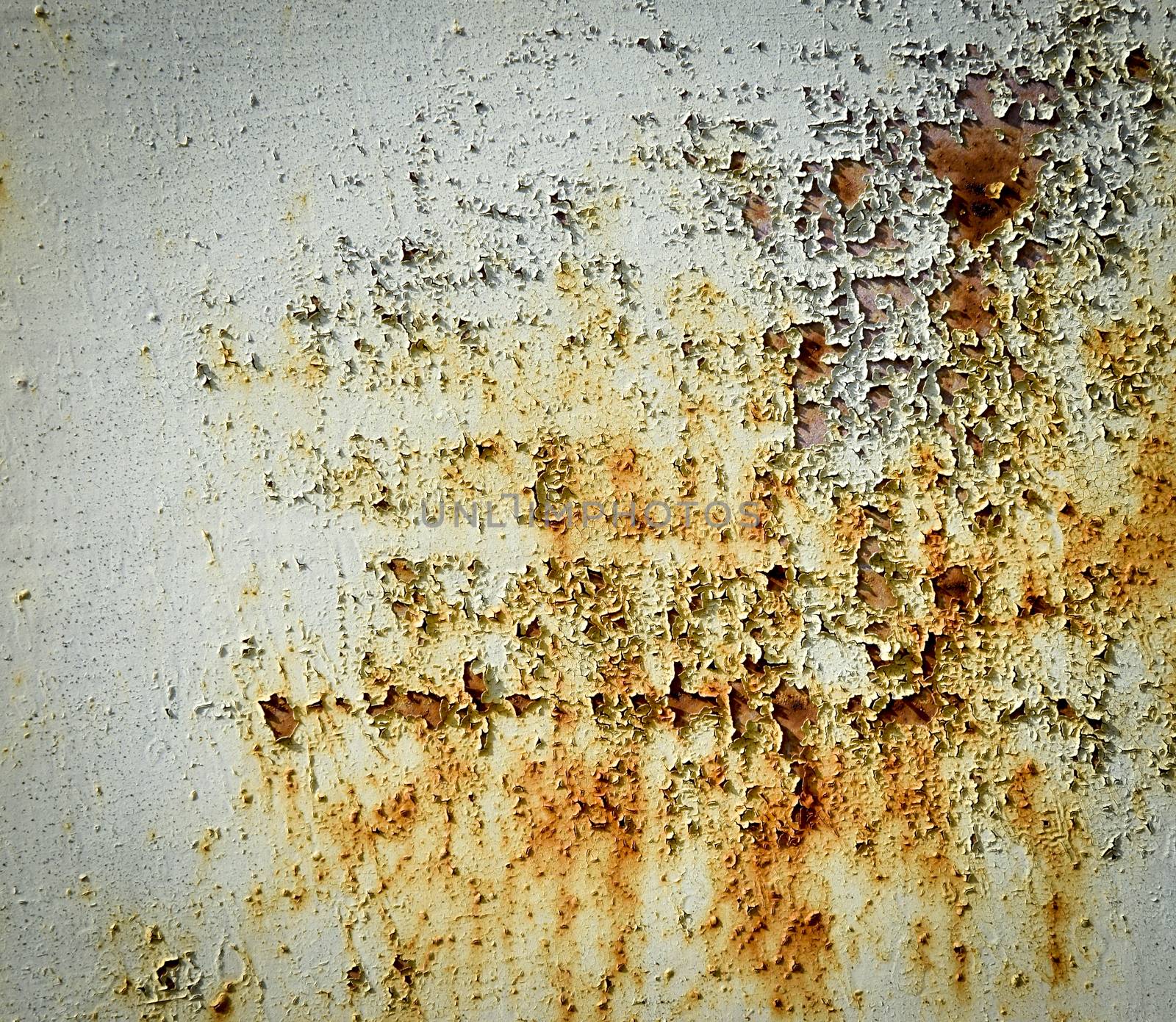 background or texture blooming rust on an iron plate