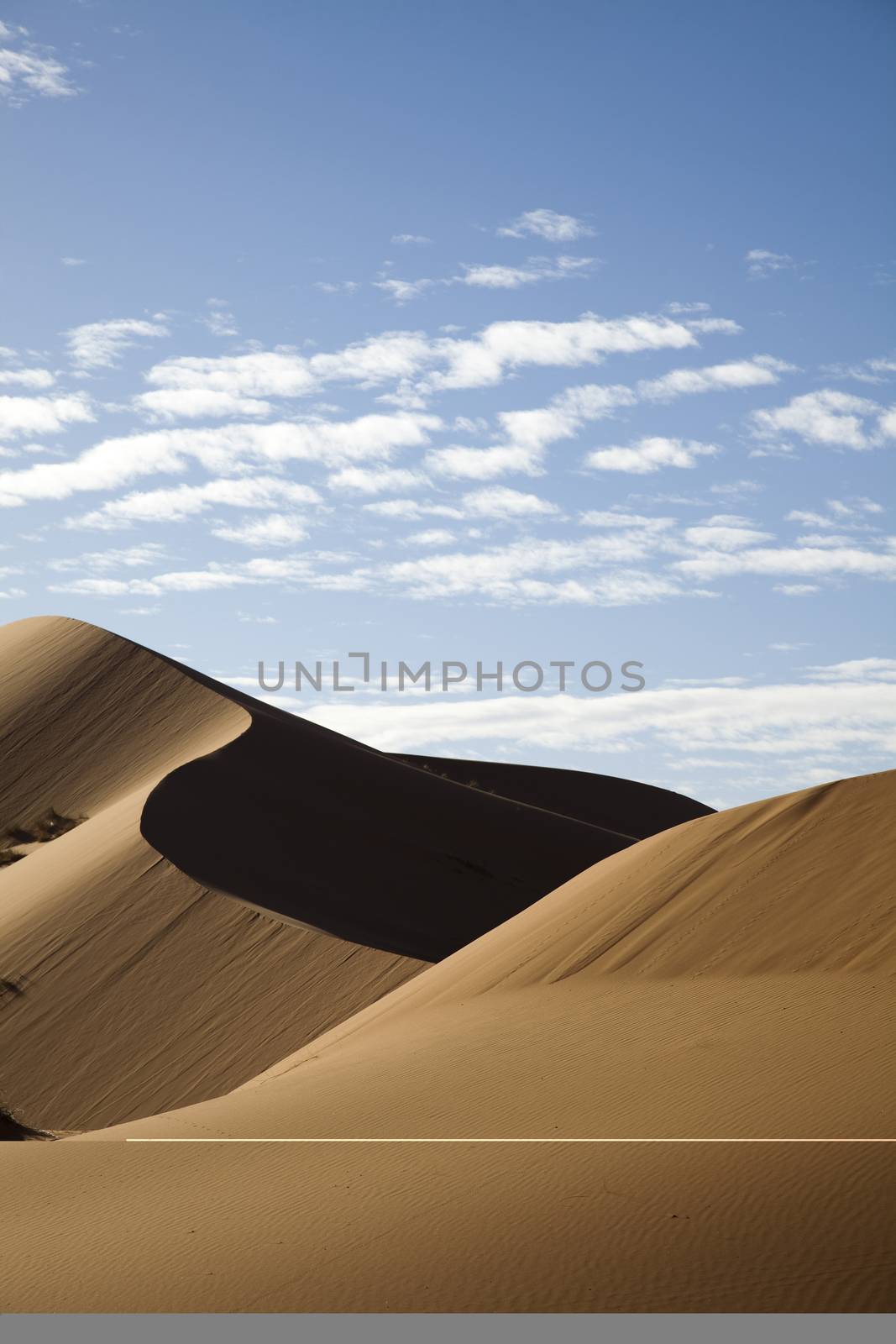 Landscape of desert, colorful vibrant travel theme