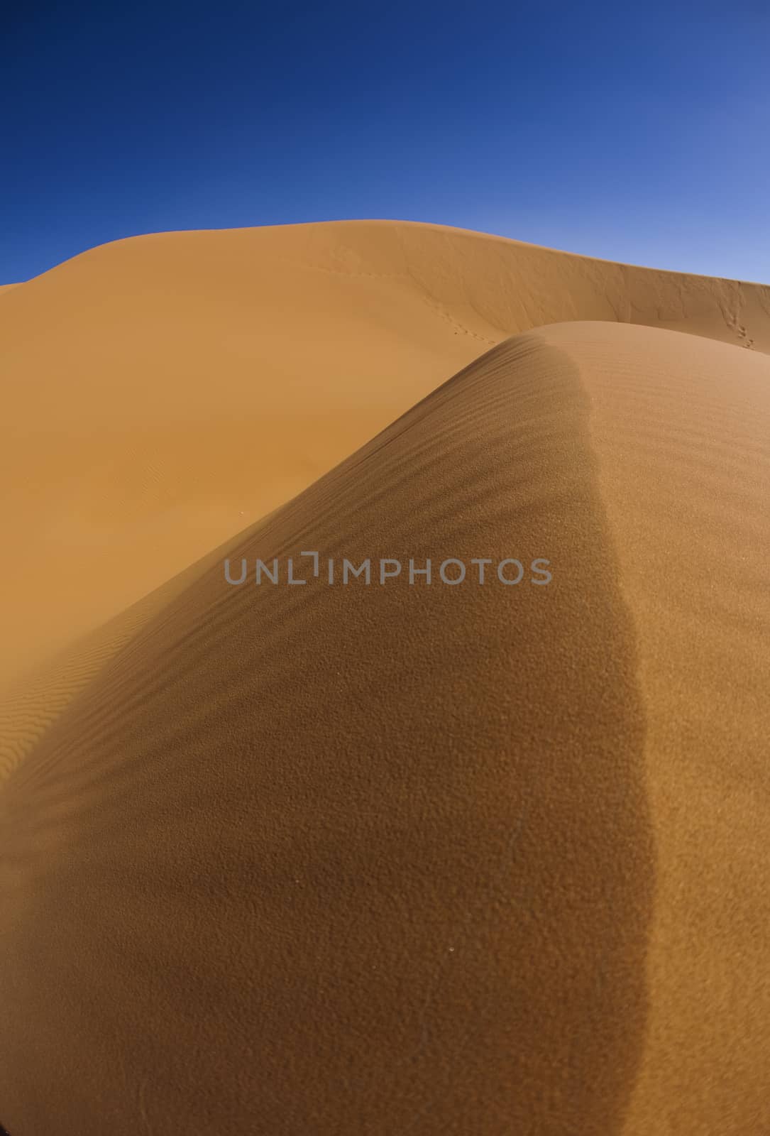 Desert dunes in Morocco, colorful vibrant travel theme