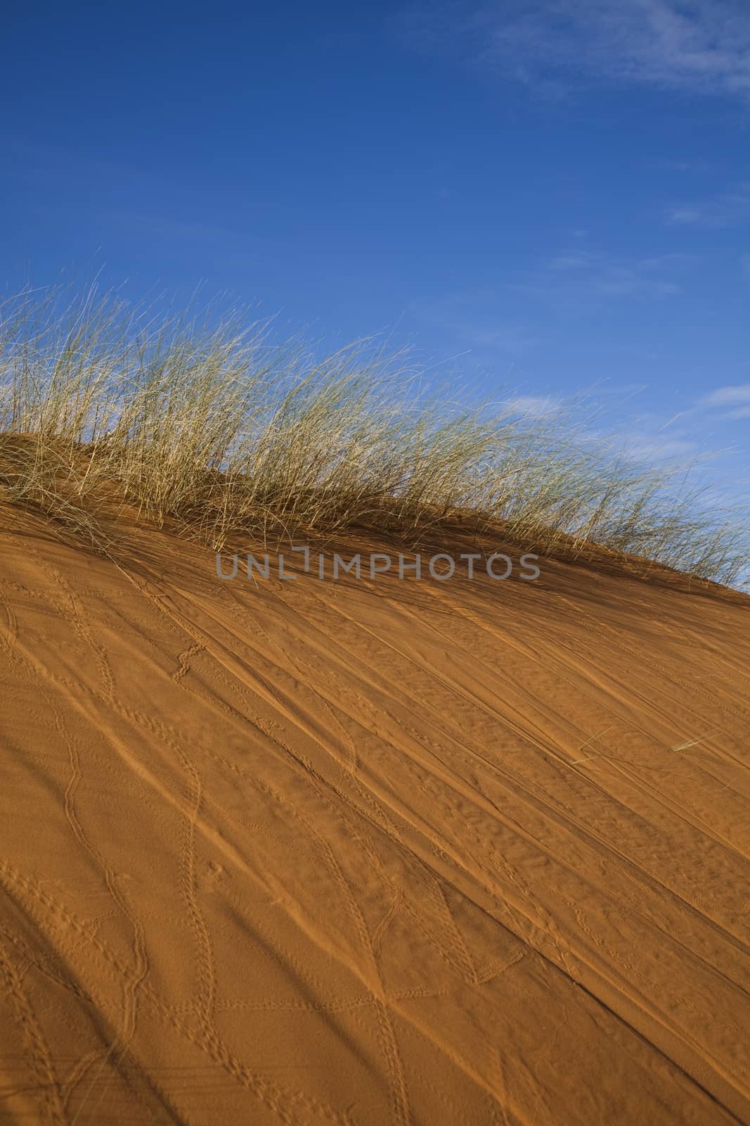 Moroccan desert dune, merzouga, colorful vibrant travel theme by JanPietruszka