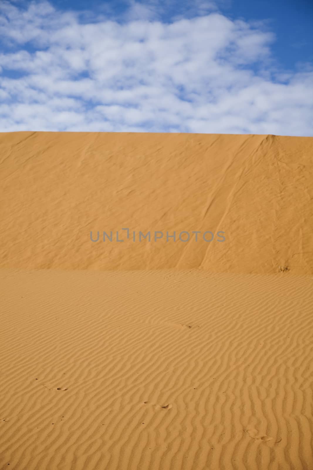 Moroccan desert dune, merzouga, colorful vibrant travel theme