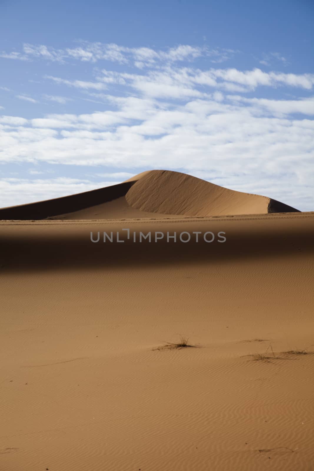 Moroccan desert dune, merzouga, colorful vibrant travel theme by JanPietruszka