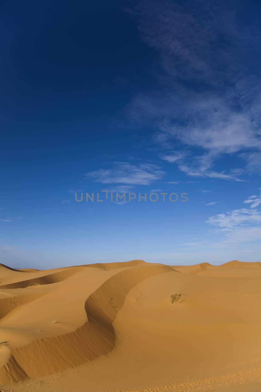 Moroccan desert dune, merzouga, colorful vibrant travel theme