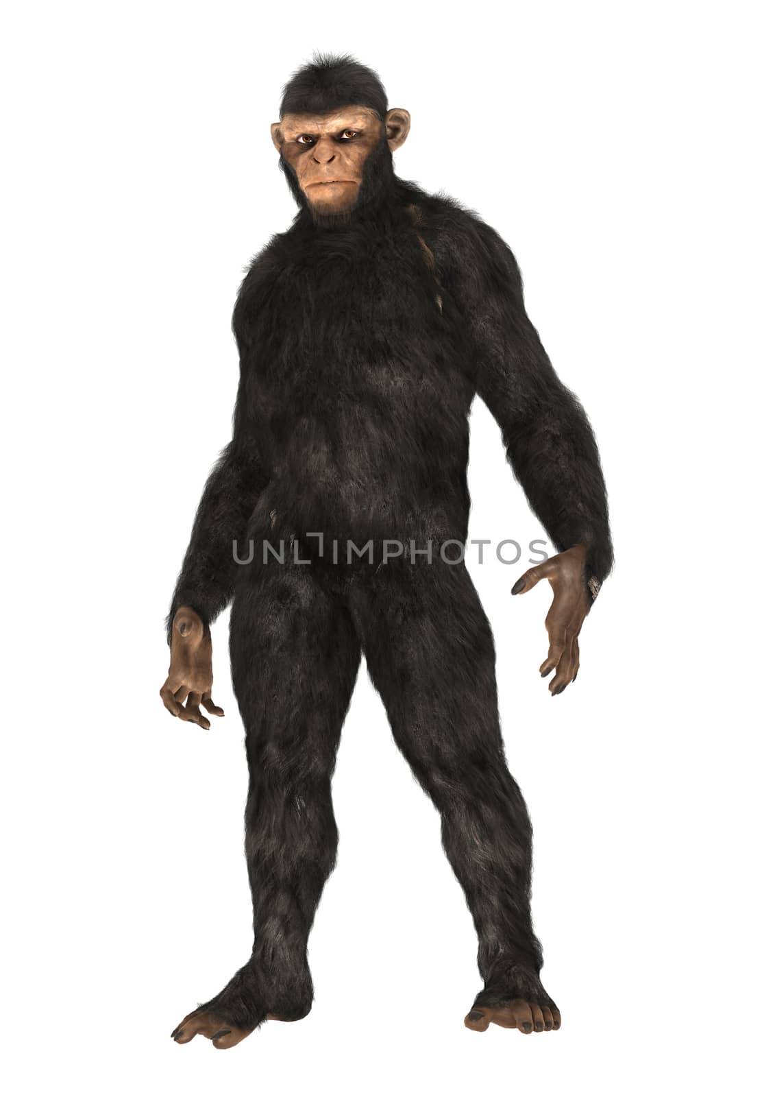 3D digital render of a big chimpanzee isolated on white background