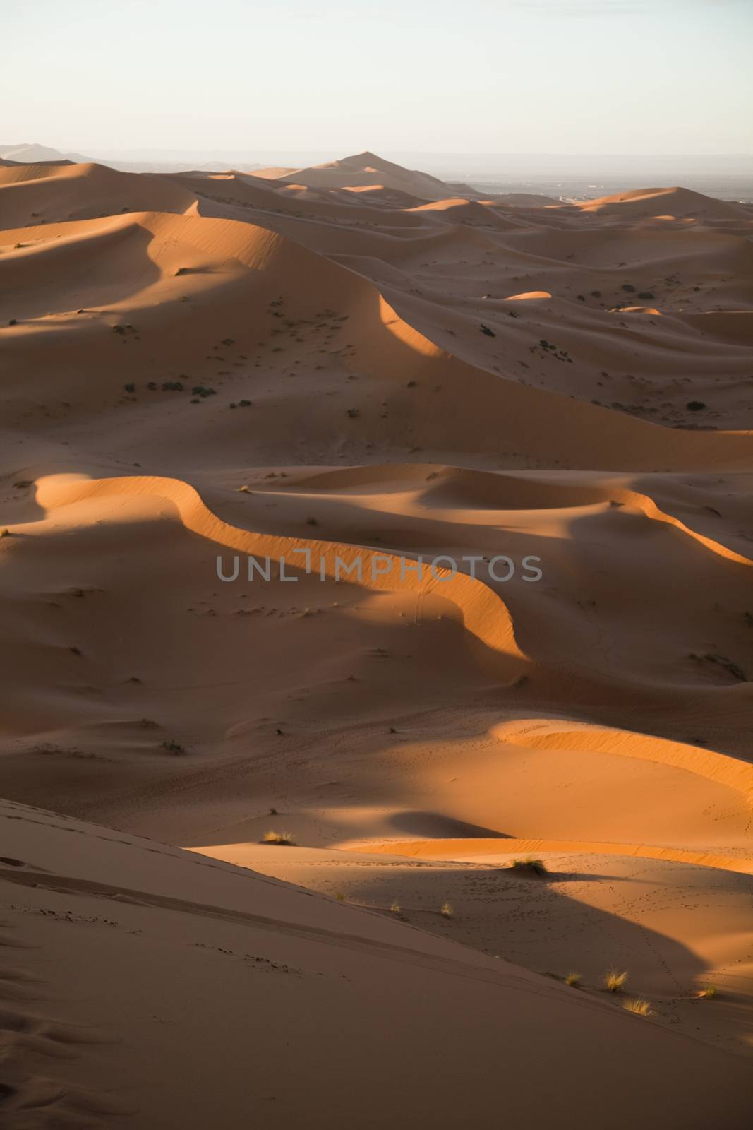 Desert sand, colorful vibrant travel theme by JanPietruszka