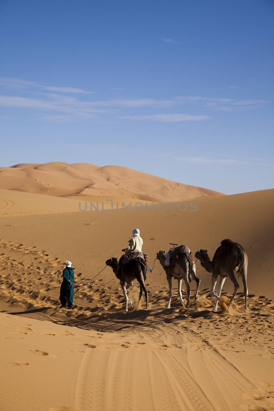 Sahara Desert, merzouga, colorful vibrant travel theme by JanPietruszka