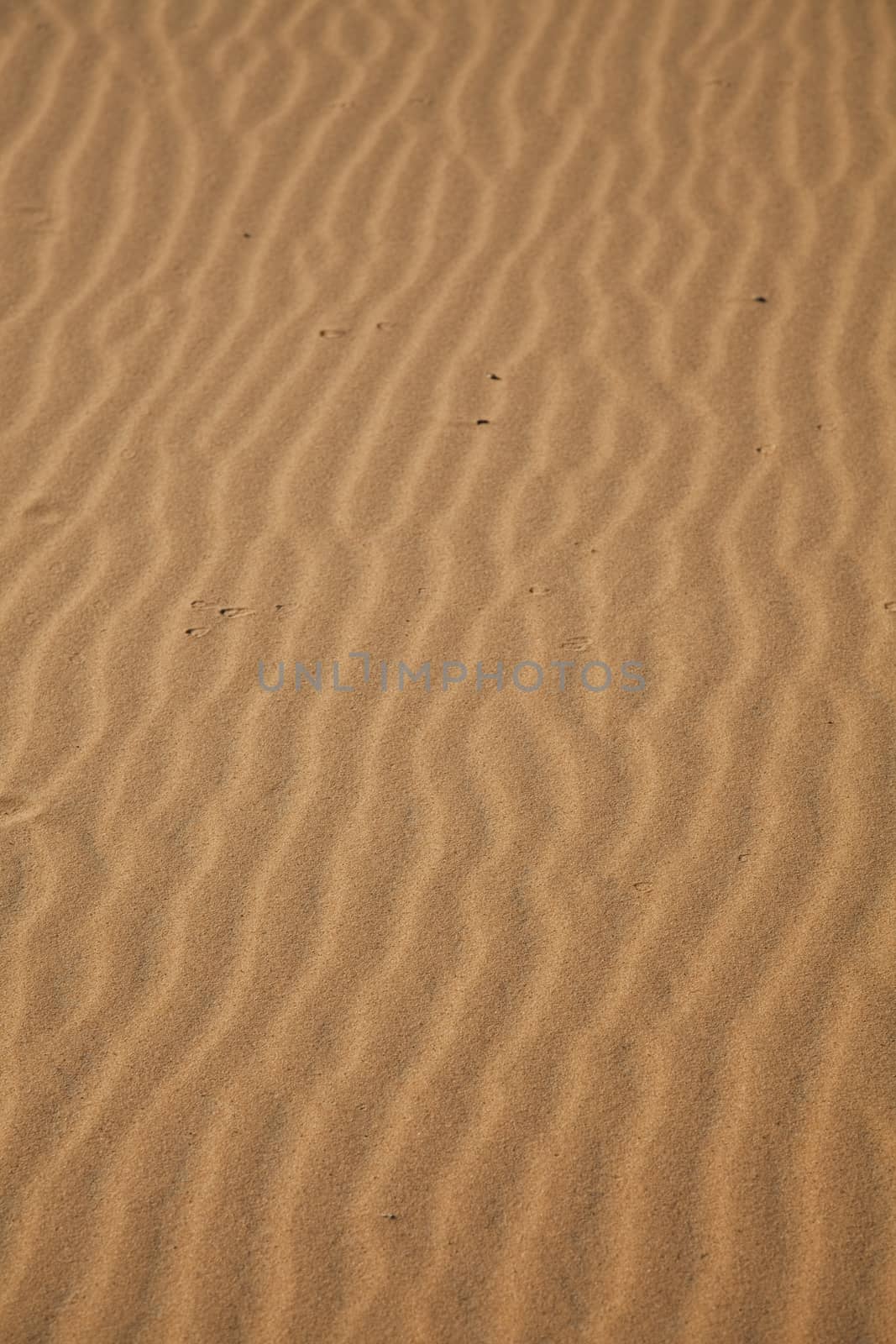 Sahara Desert, merzouga, colorful vibrant travel theme by JanPietruszka